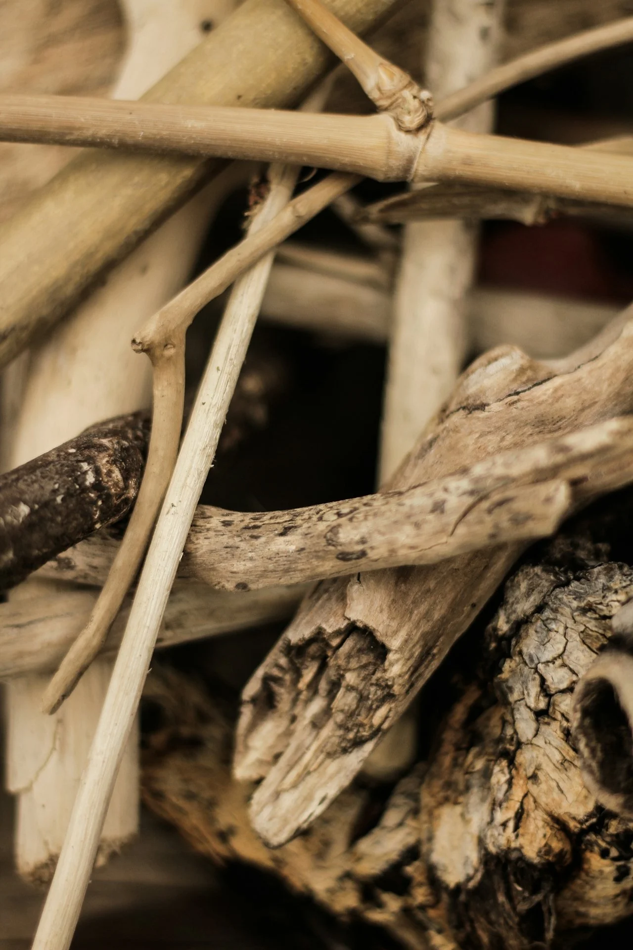 services at driftwood health clinic toronto