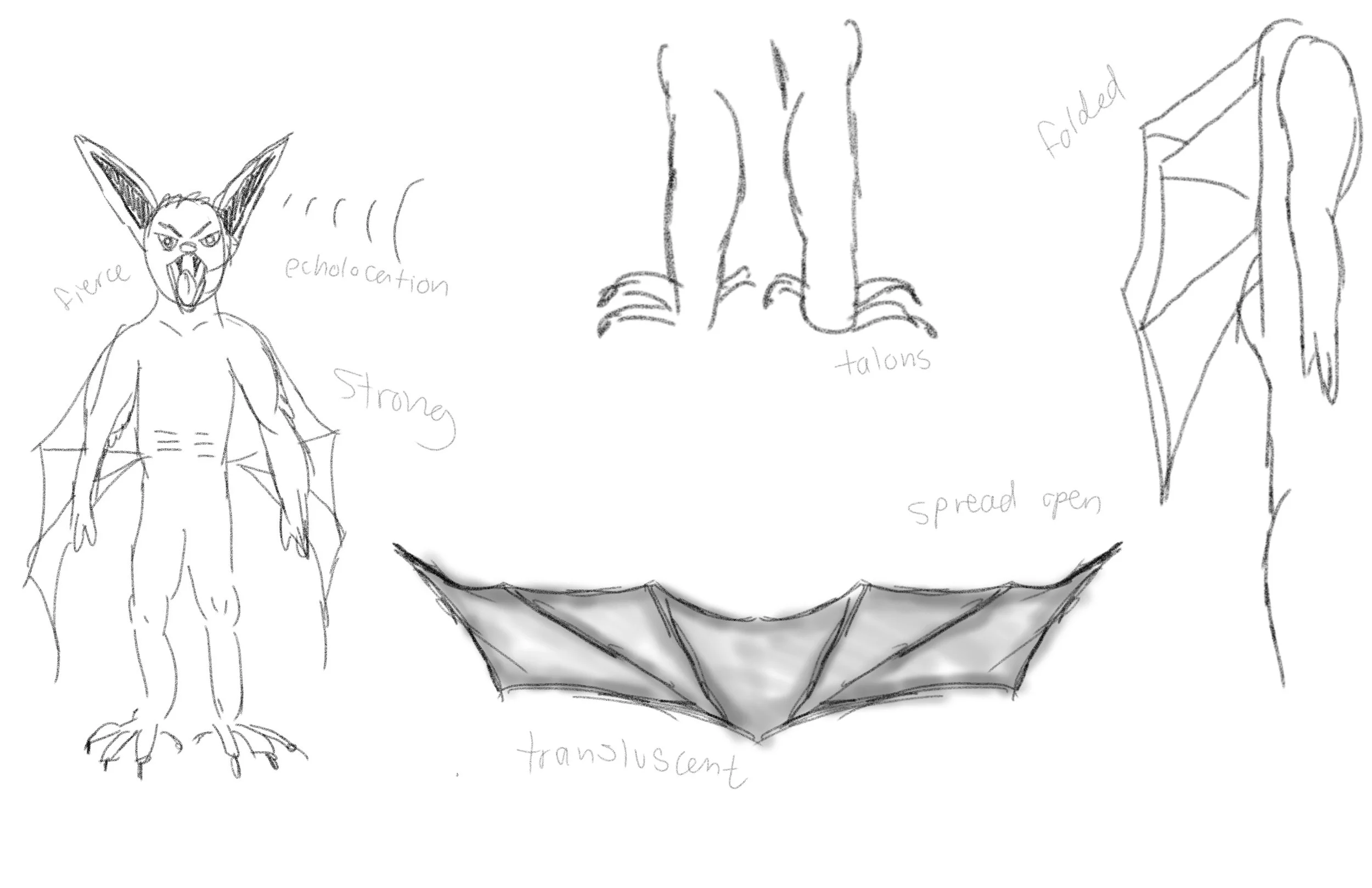 Sketches of mythical creature features, including a bipedal creature with fur, large ears, and fierce expression, a pair of talons, a folded wing, a translucent wing, and a spread open wing.