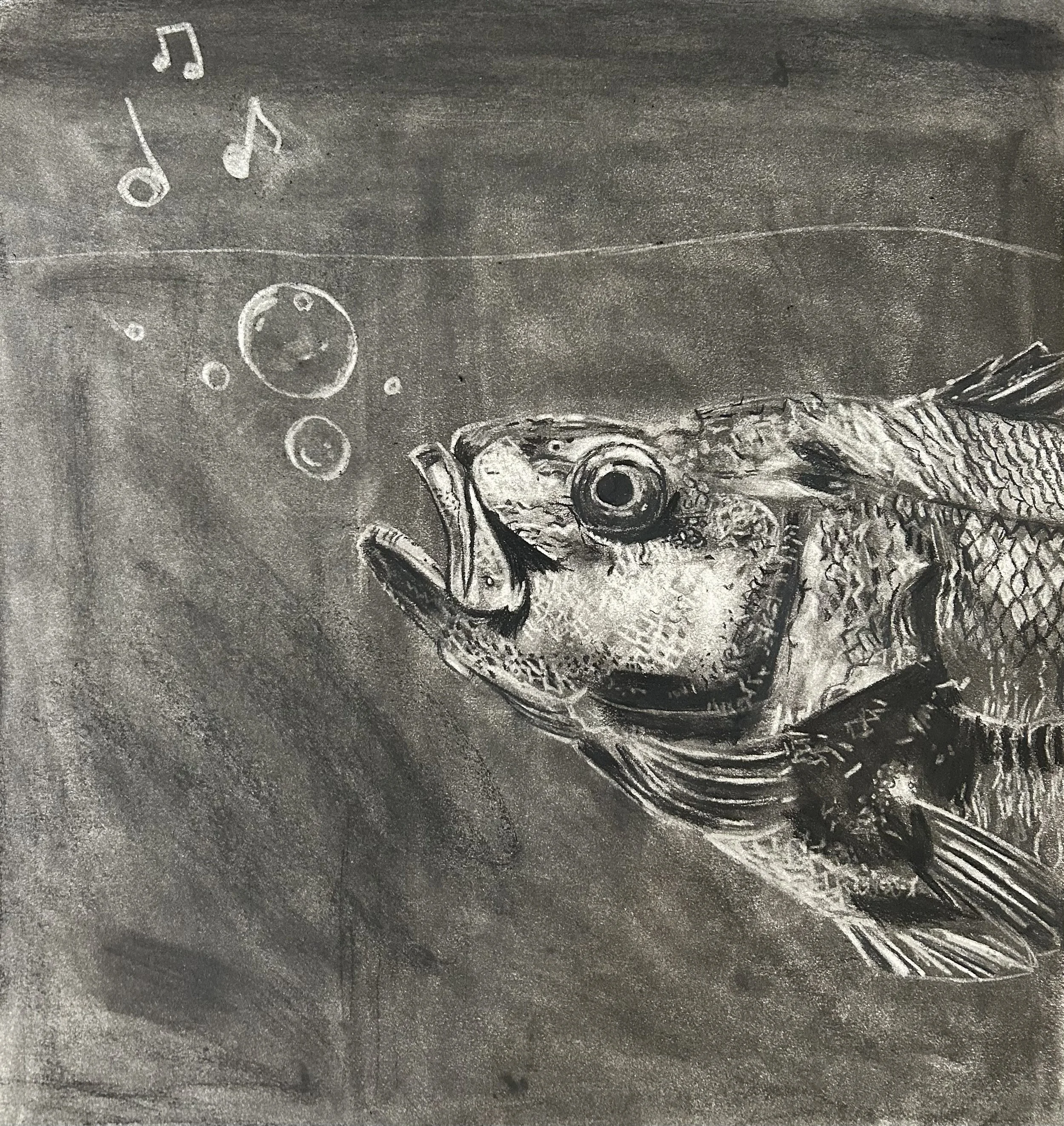 "Singing Fish" - Charcoal Negation, 18 x 20 inches