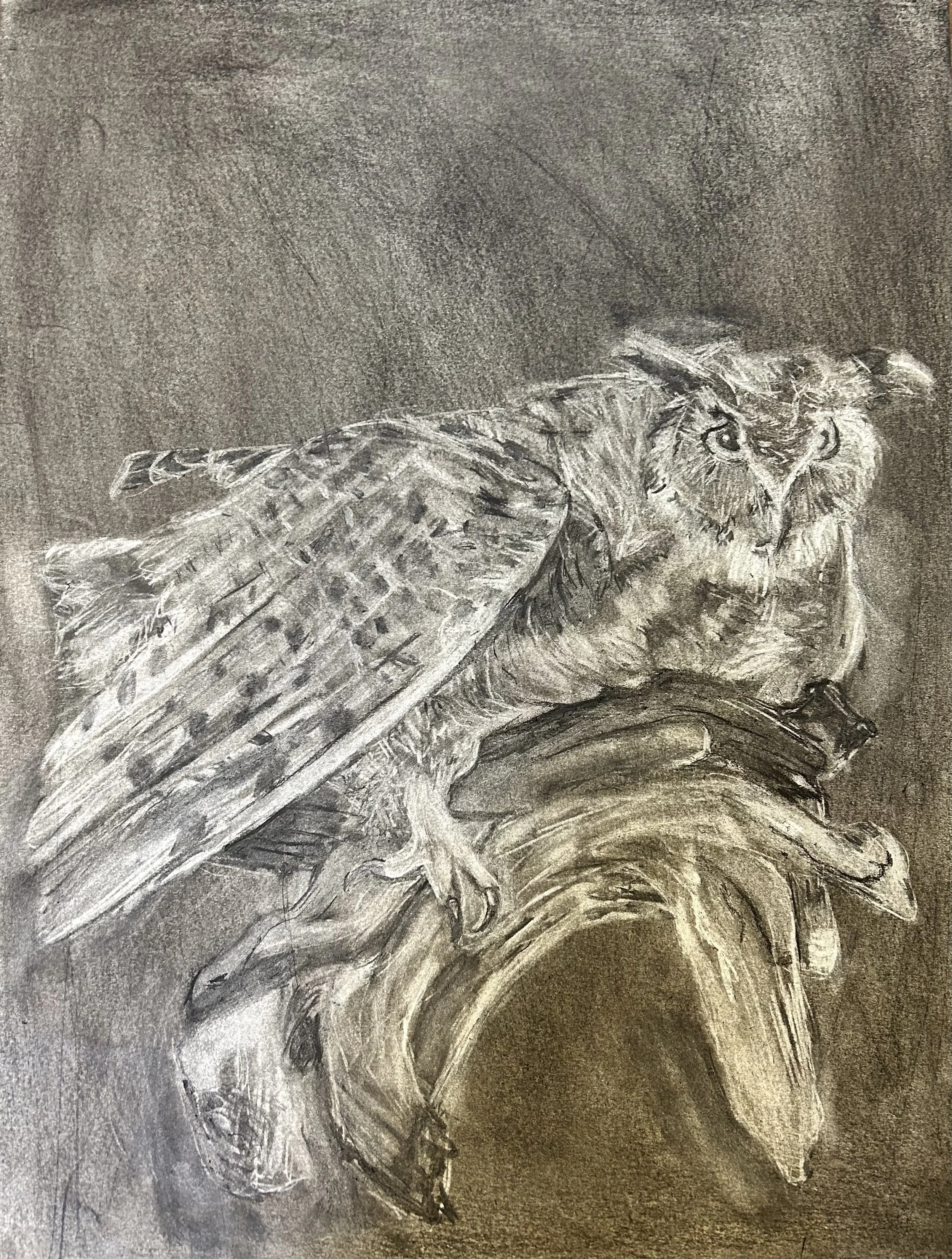 1. "Fierce Owl" - Charcoal Negation, 18 x 24 inches