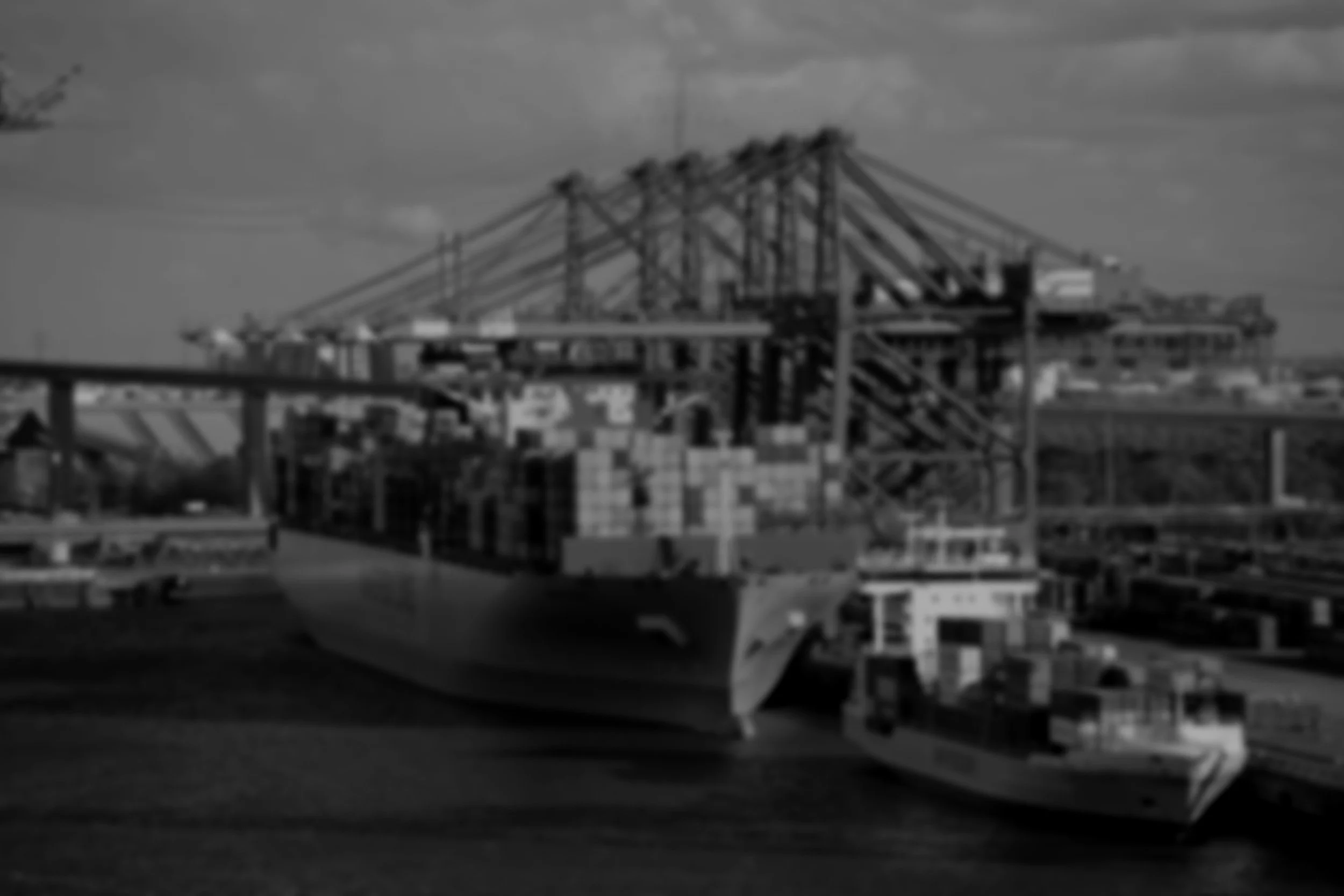 A cargo ship docked at a port with containers on board and a crane in the background.
