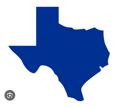 Solid blue silhouette of the state of Texas.