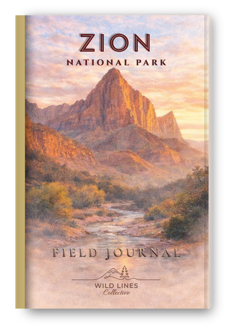 Zion National Park Field Journal — Wild Lines Collective