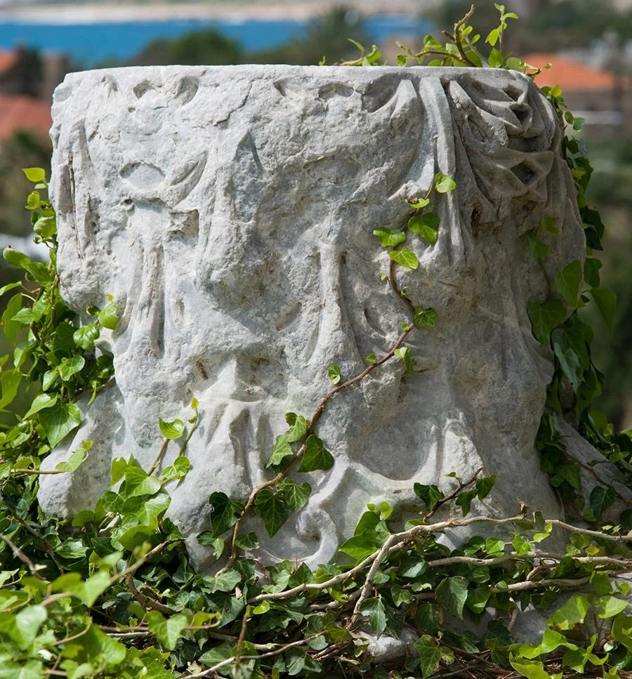 Fragment de colonne antique à Byblos au Liban recouvert de végétation, illustrant l’érosion et la transformation du site archéologique