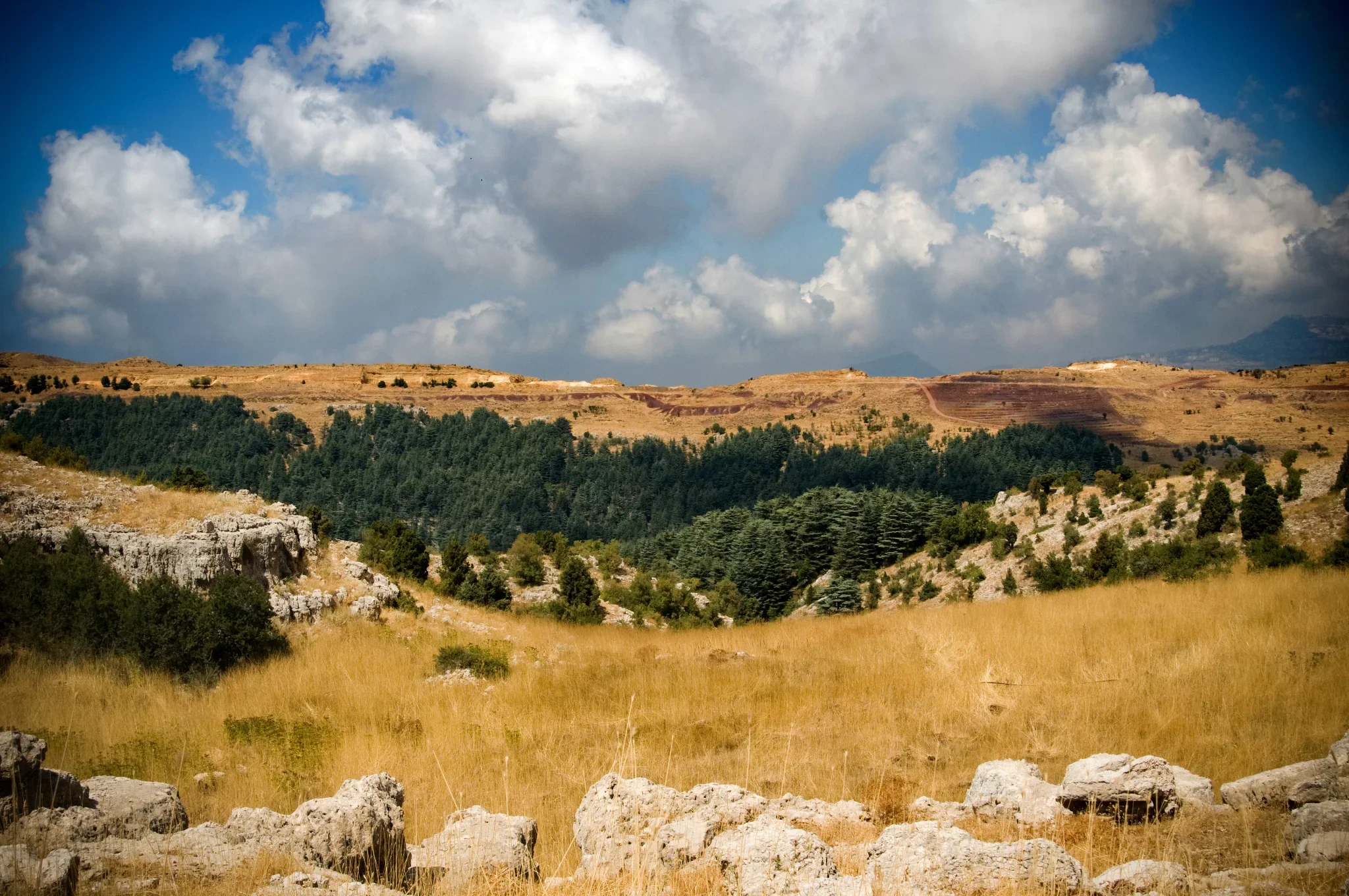 Paysage de la cédraie de Tannourine sous un ciel de grands nuages dans le Mont-Liban