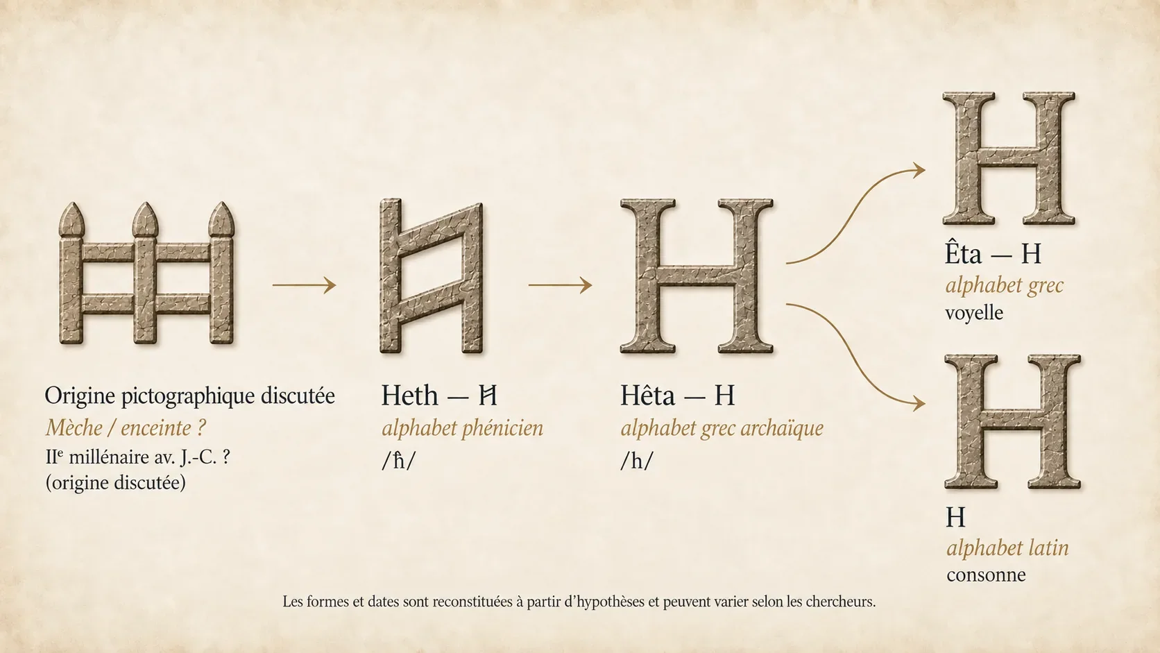 Évolution de Heth depuis une origine pictographique discutée vers la lettre phénicienne, puis vers Hêta, Êta grec et le H latin