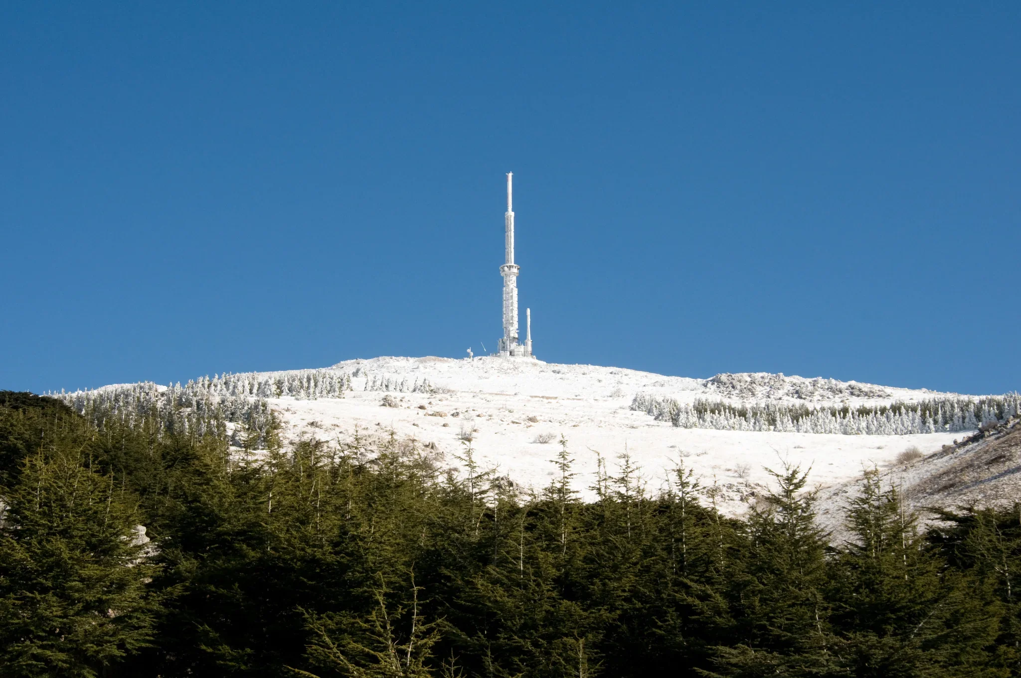 Winter landscape of the Shouf cedar forest with snowy summit and antenna