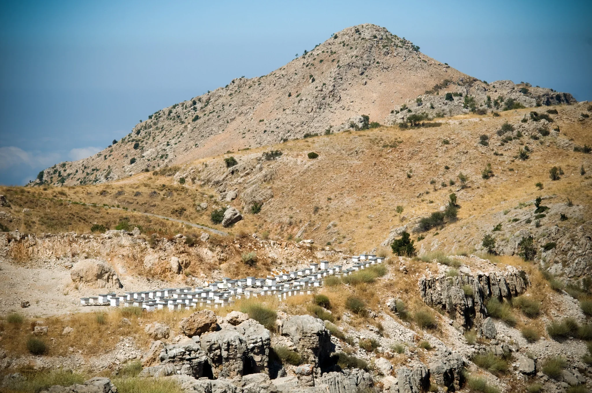 Rucher dans le paysage rocheux de Tannourine, au cœur du Mont-Liban