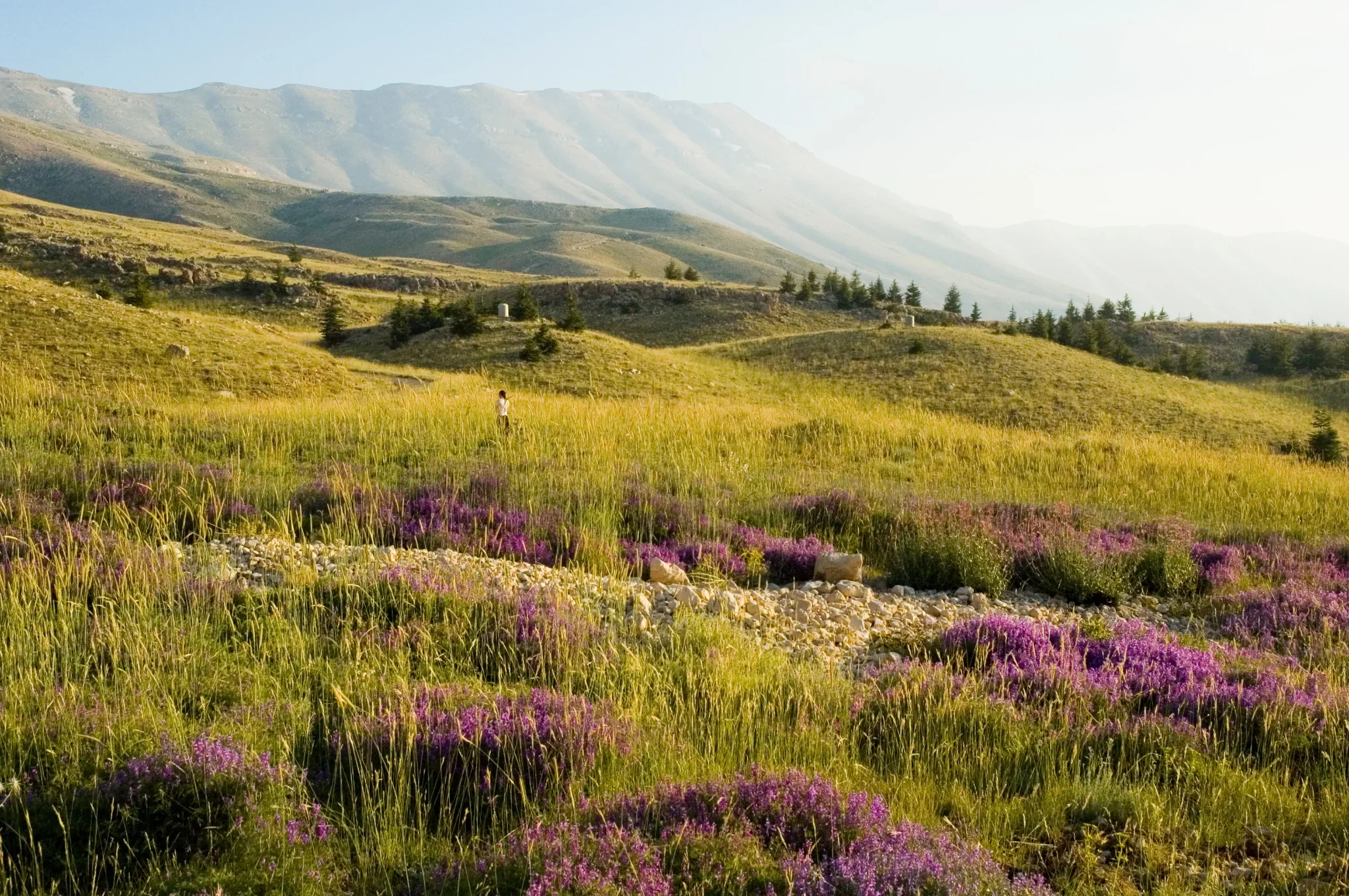 High mountain landscape around the Cedars of Bsharri in Mount Lebanon