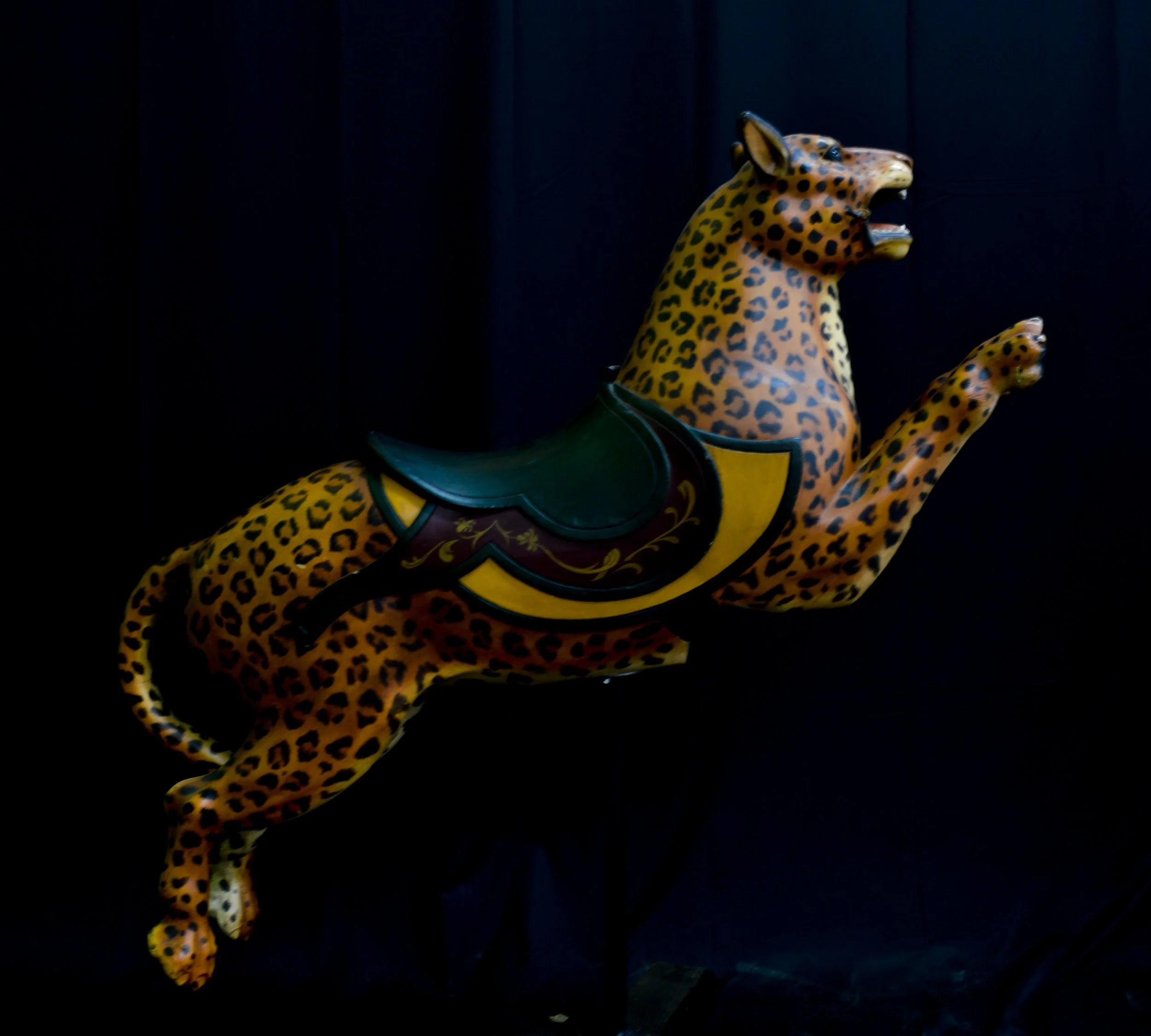 P.T.C. - Leopard