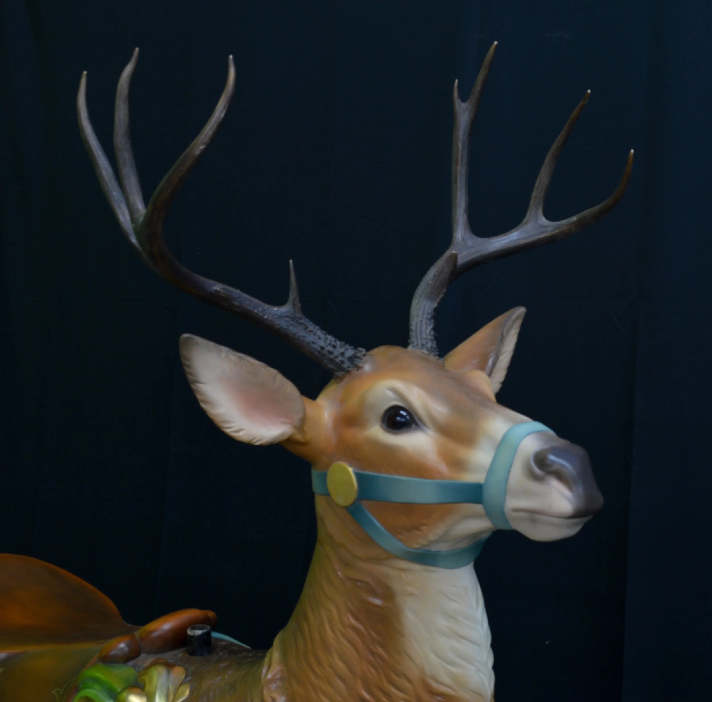 DSC_2577.jpg