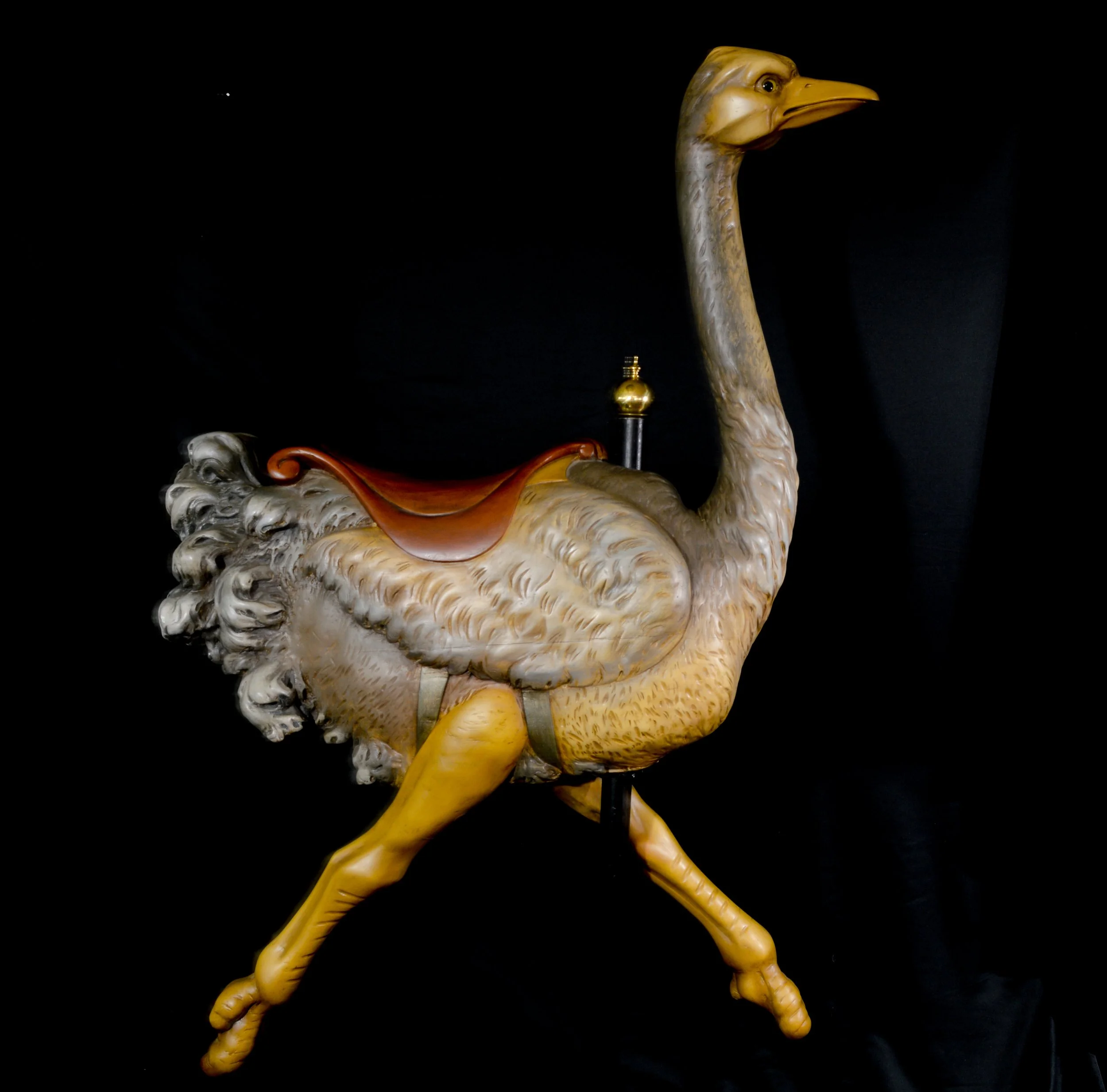 DSC_2785.jpg
