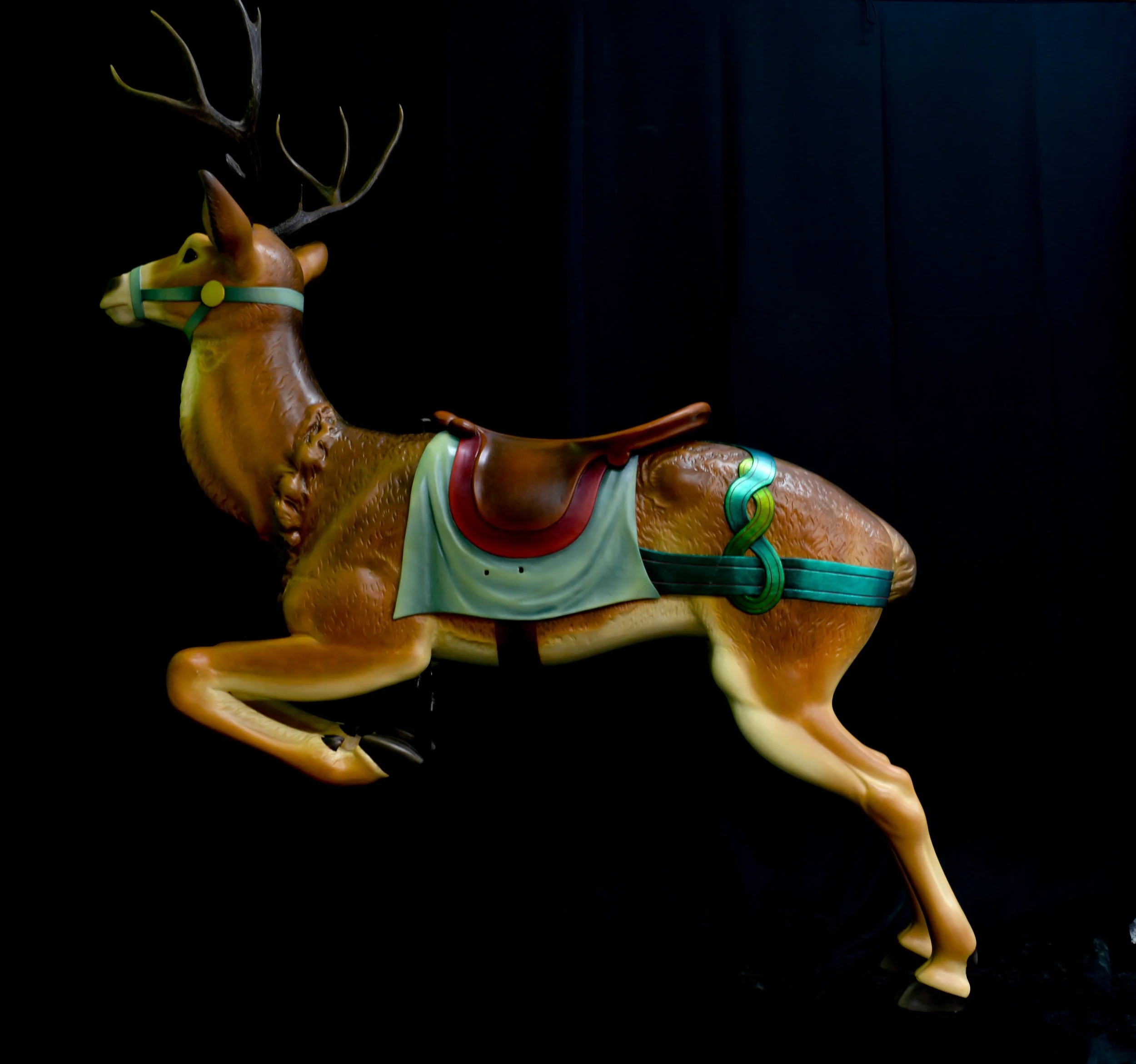 DSC_2579.jpg