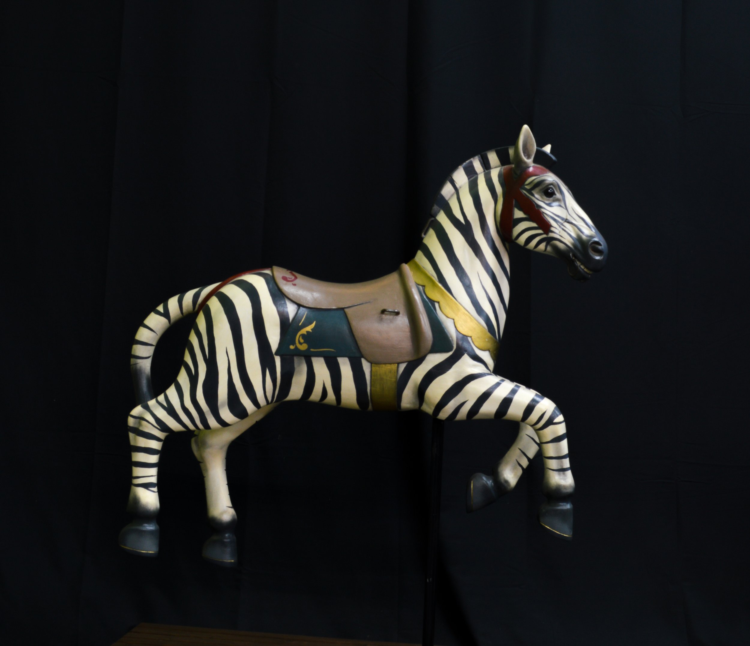 Unknown - Zebra