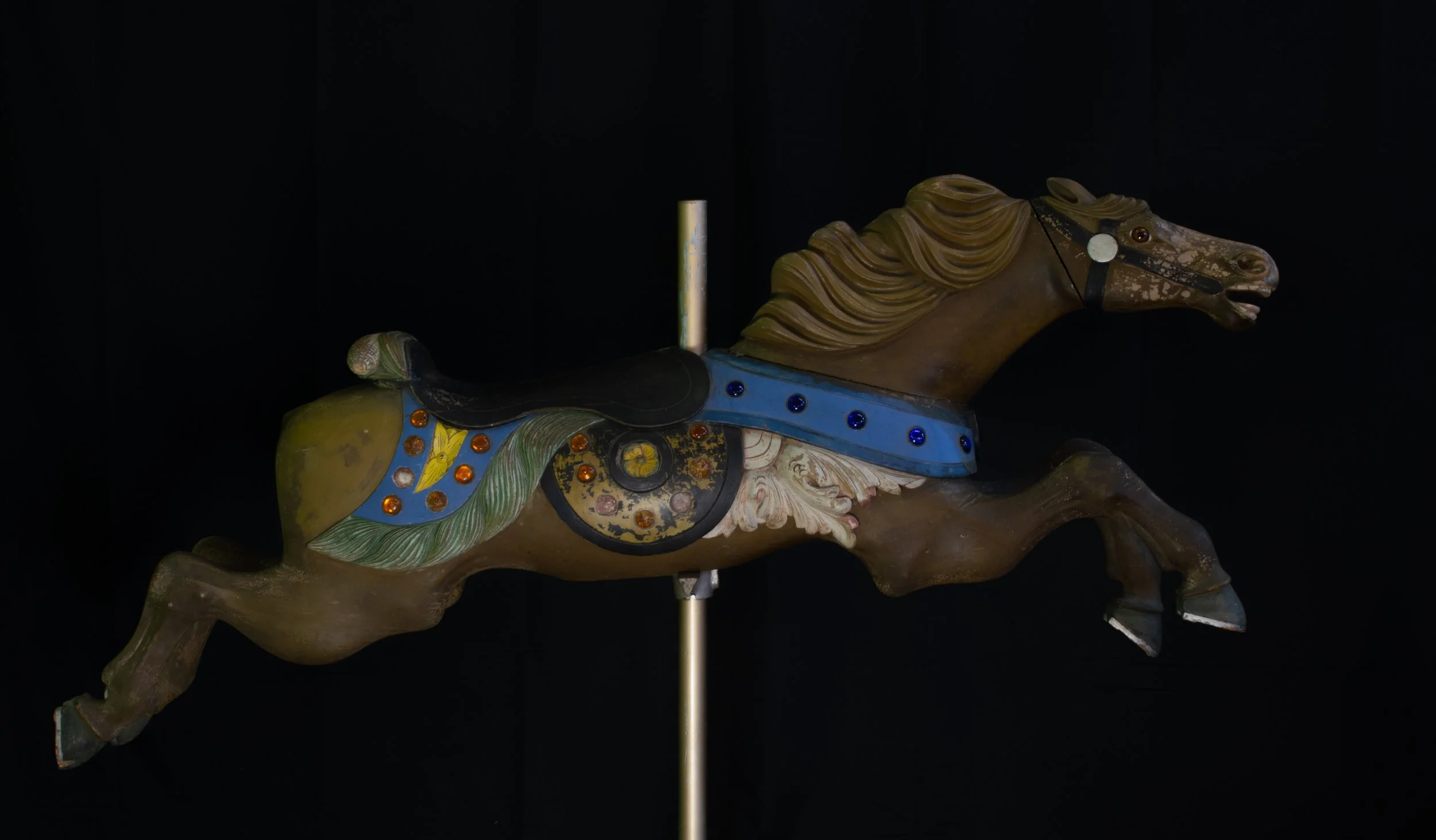 DSC_2284.jpg
