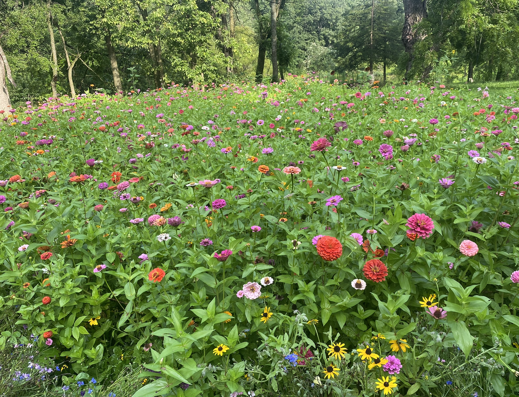 Screenshot 2026-03-23 at 7.25.35 PM.png