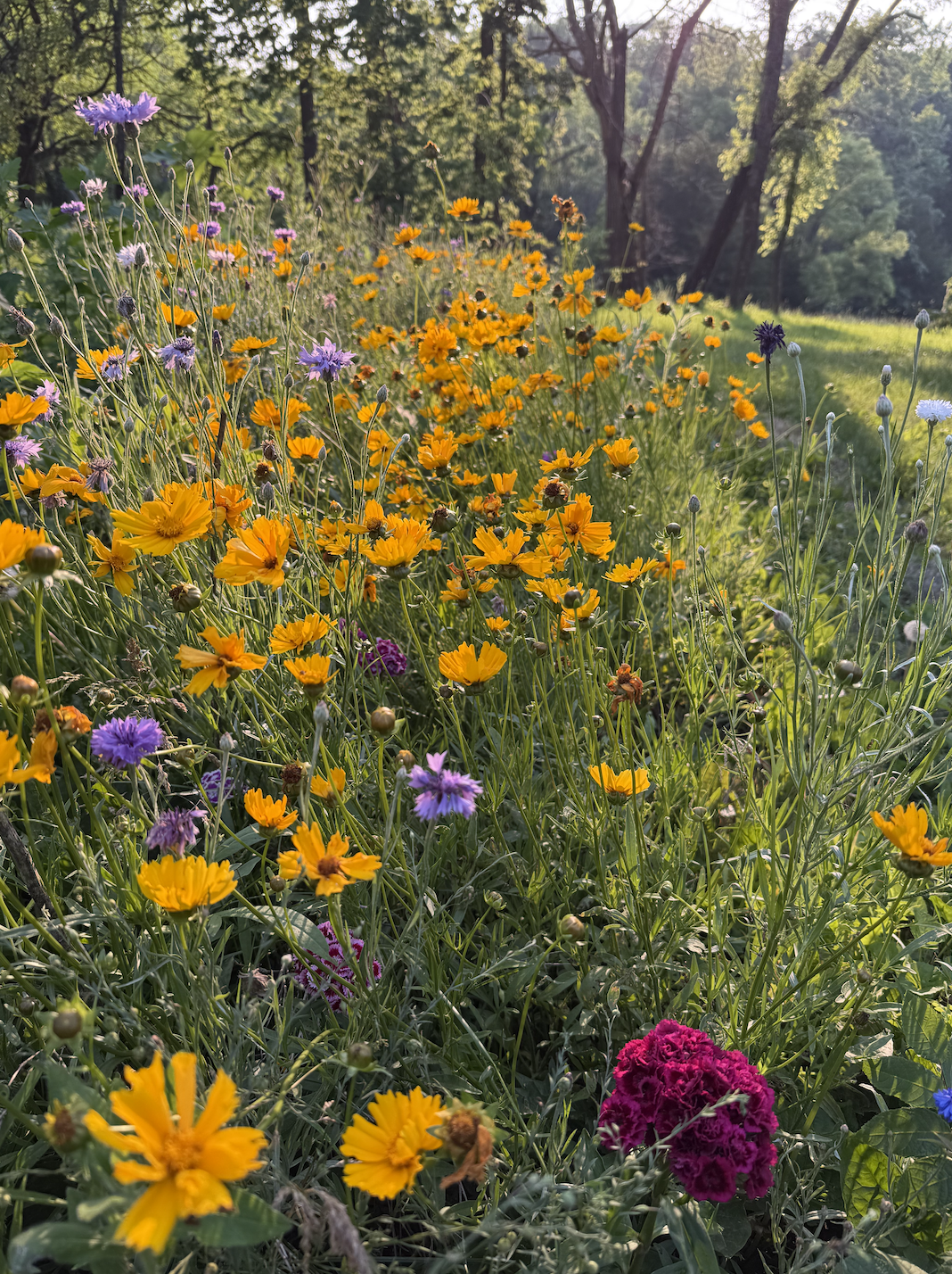 Screenshot 2026-03-23 at 7.30.32 PM.png