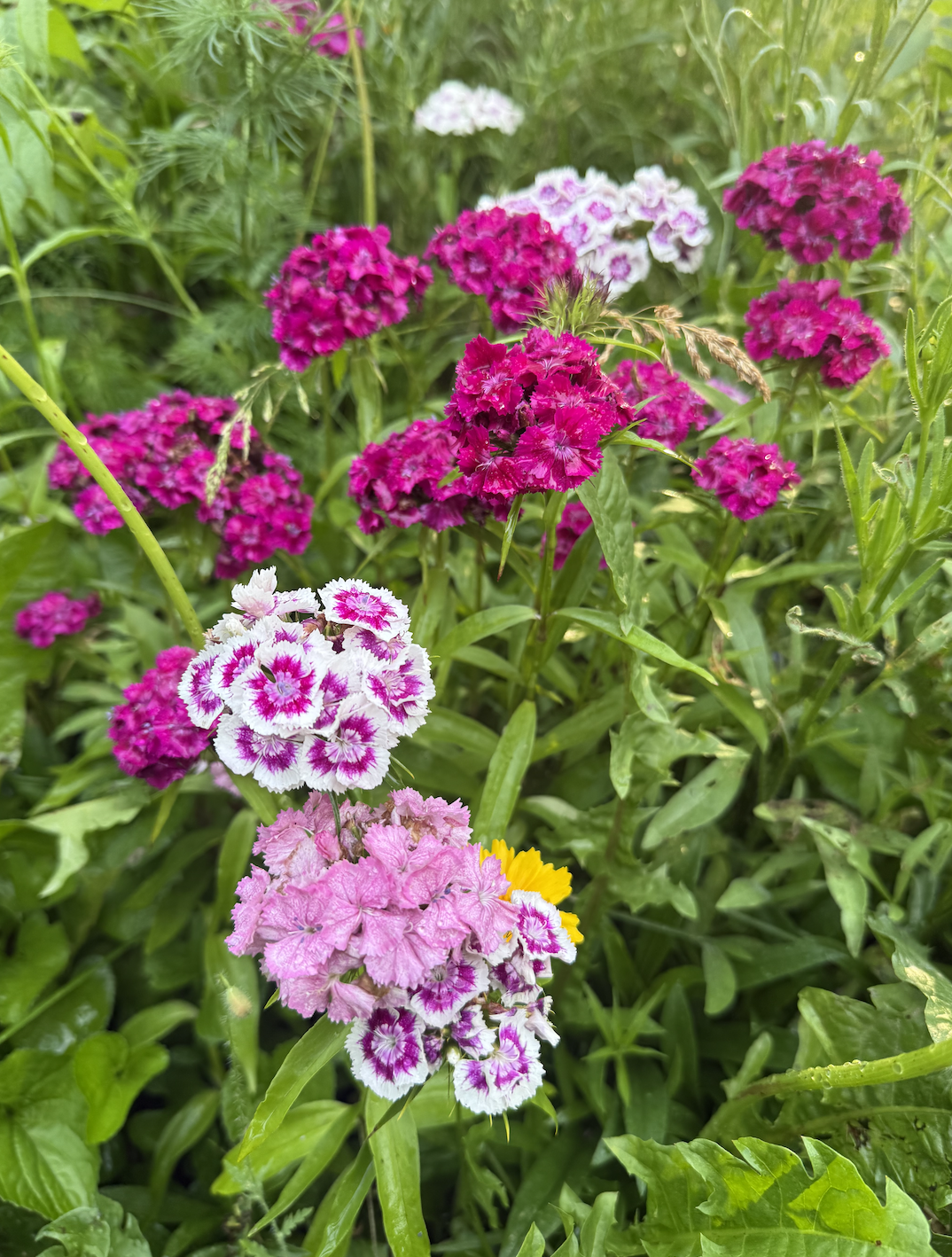 Screenshot 2026-03-23 at 7.27.26 PM.png