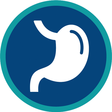 Gastroscopy Upper Endoscopy Greenslopes Hospital GastroConnect Care