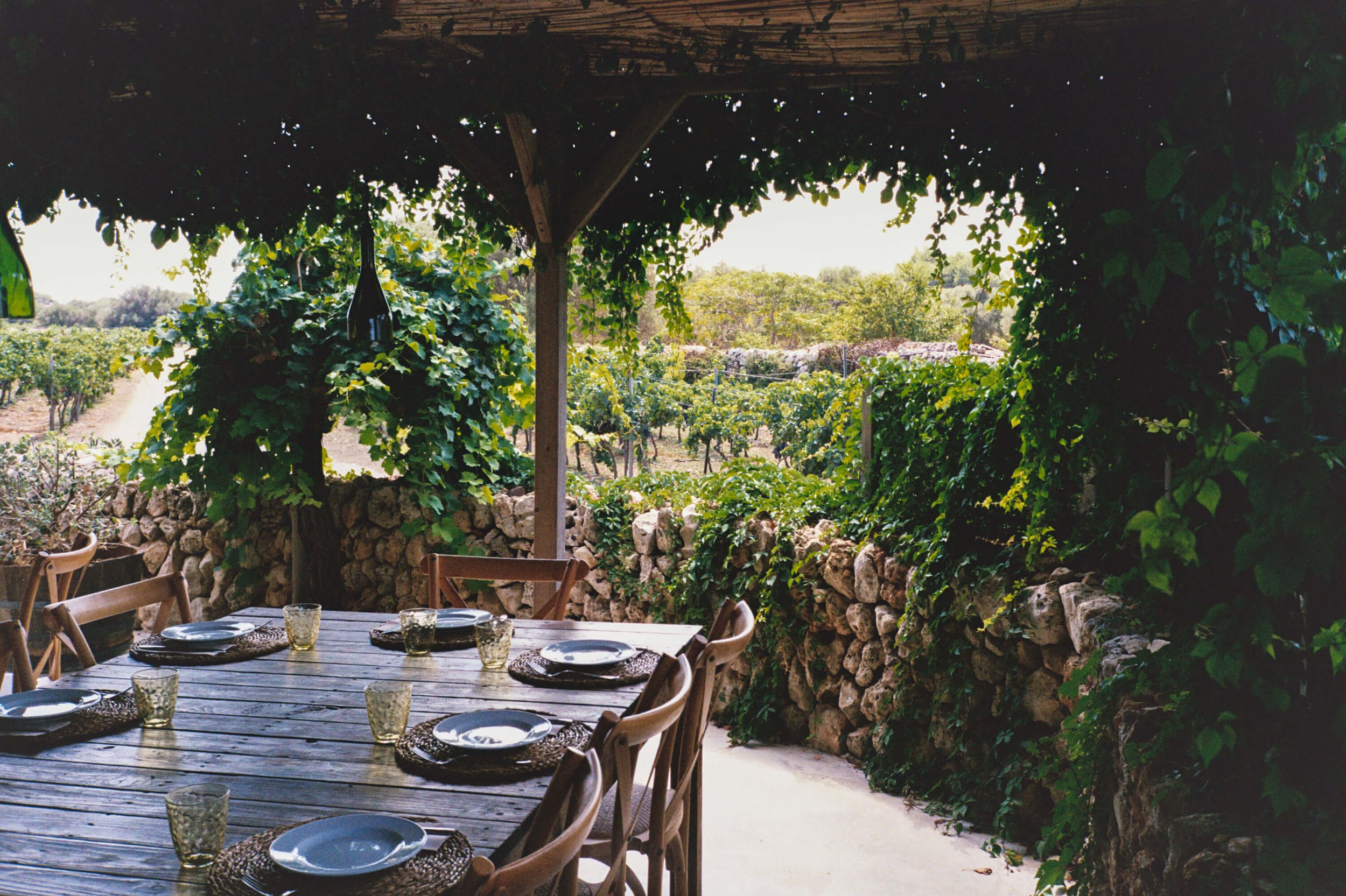 Outdoor dining area with a wooden table set with plates, glasses, and woven placemats, surrounded by wooden chairs, under a shaded pergola with a view of lush green vineyard and stone wall.