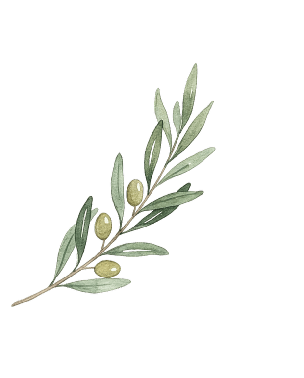 Illustration of an olive branch with green olives and elongated green leaves on a black background.