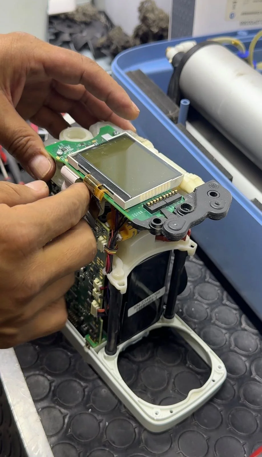 WhatsApp Image 2026-04-01 at 12.19.38 AM.jpeg