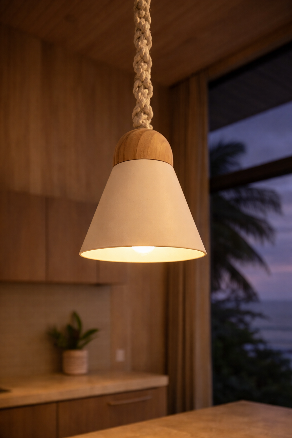 Coconut Lamp