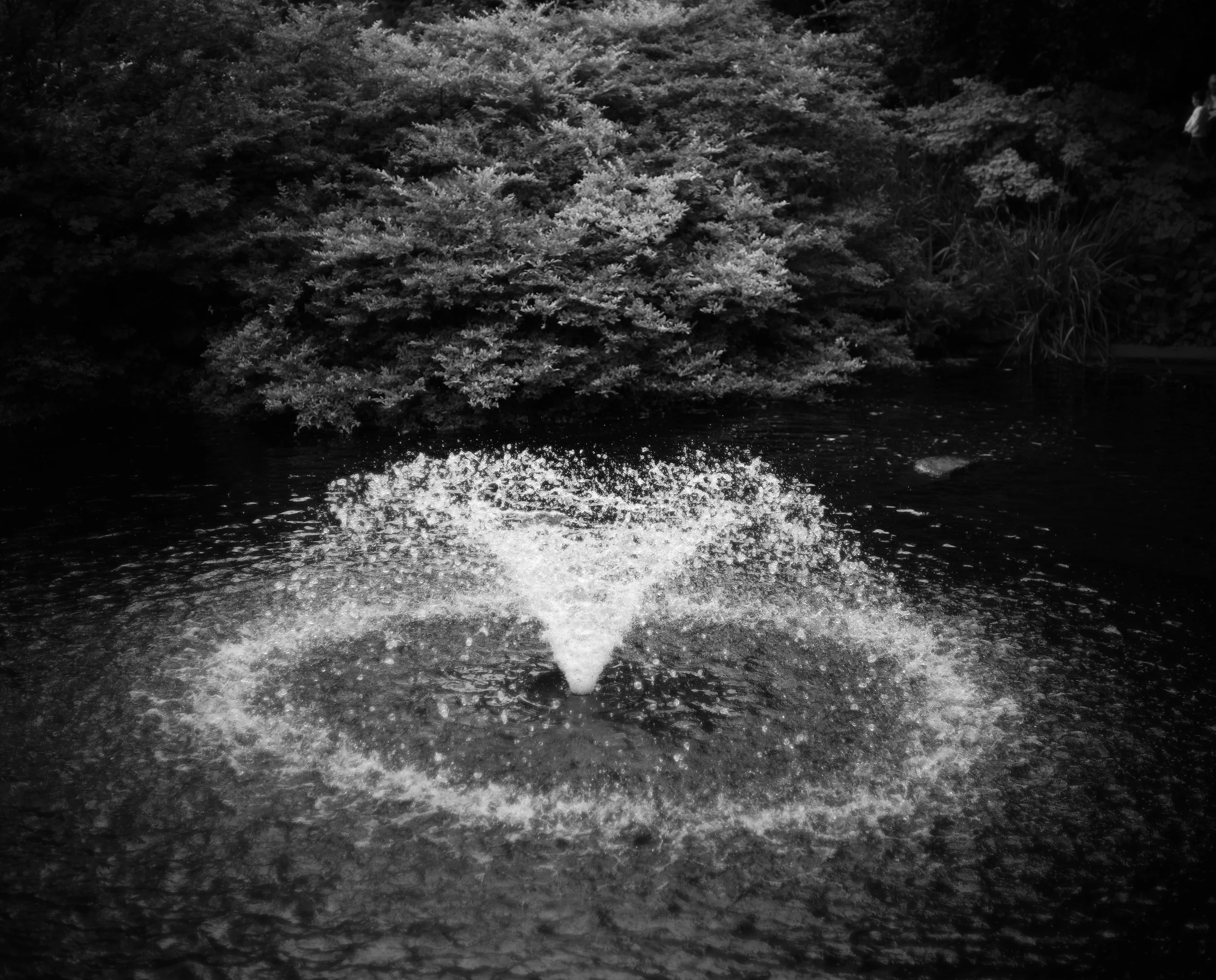 FP002774.jpg