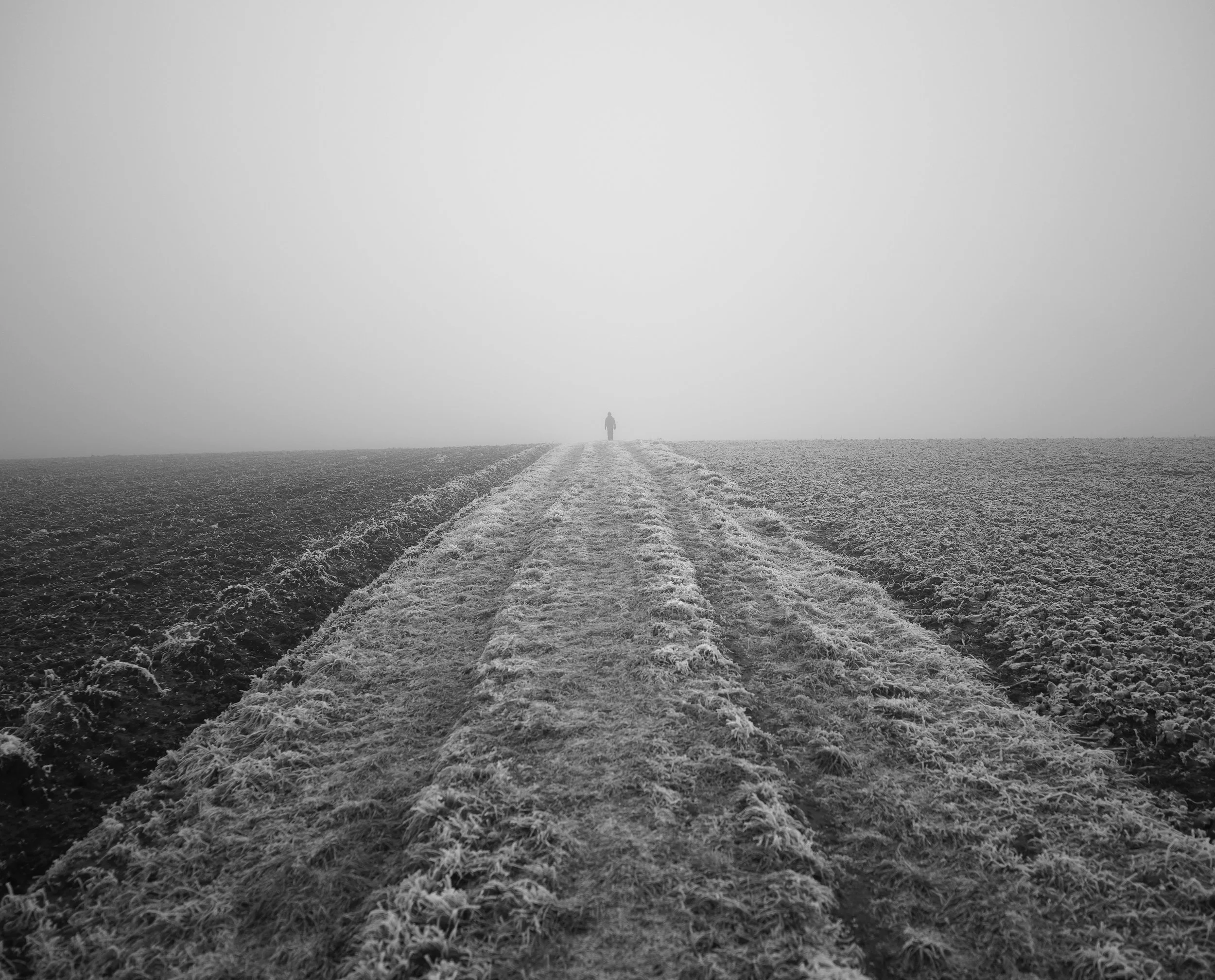 FP001766.jpg