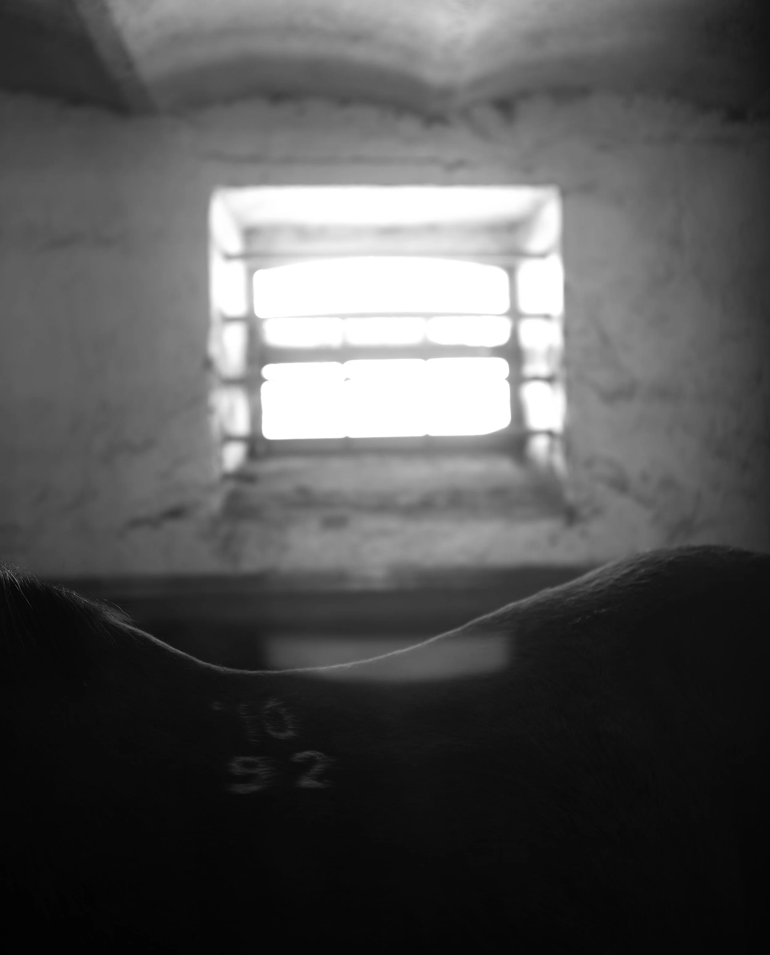 FP001612.JPG