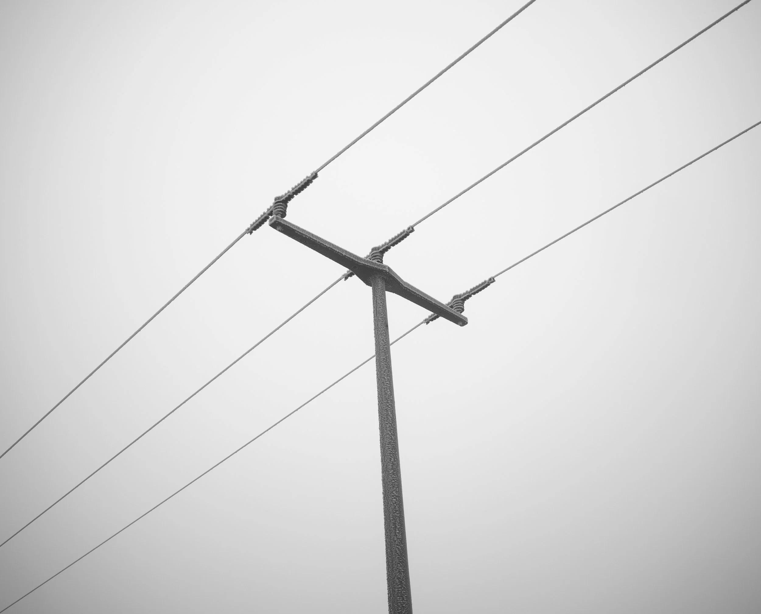 FP001624.jpg