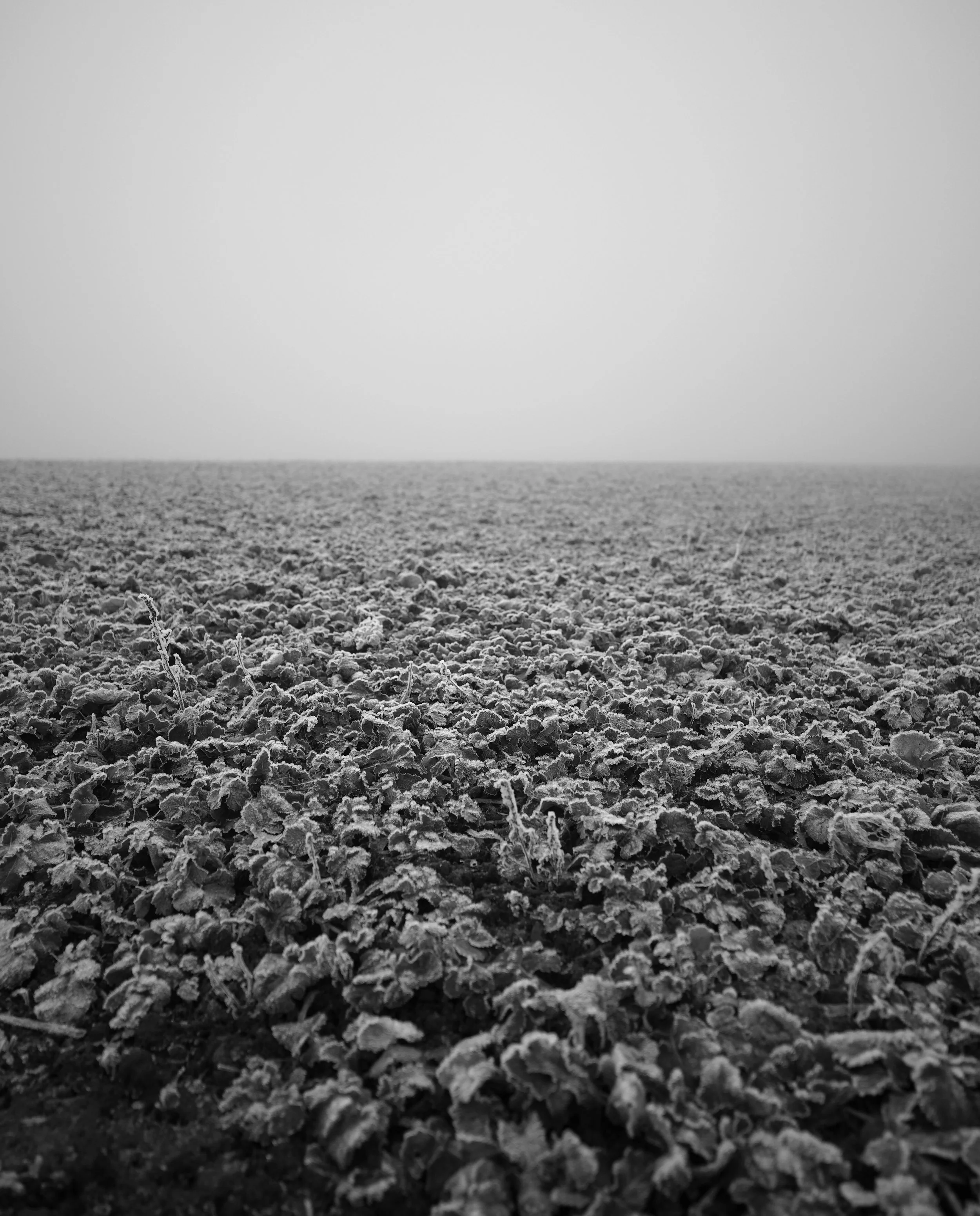 FP001762.jpg