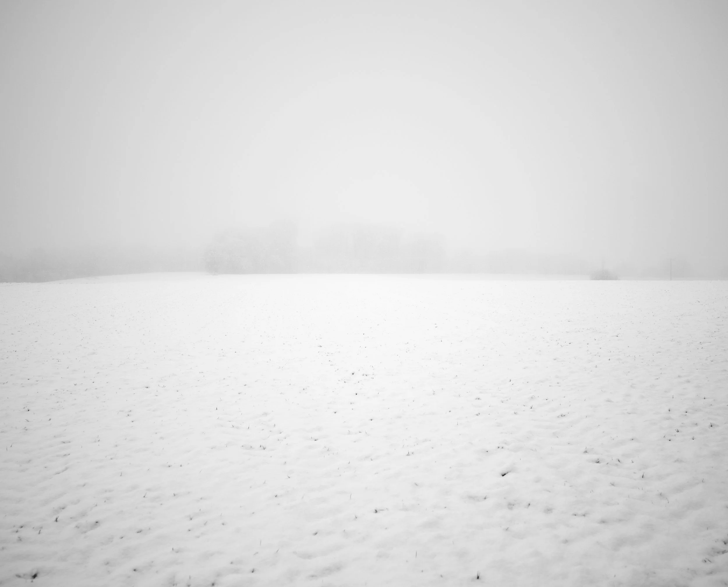 FP002067.jpg