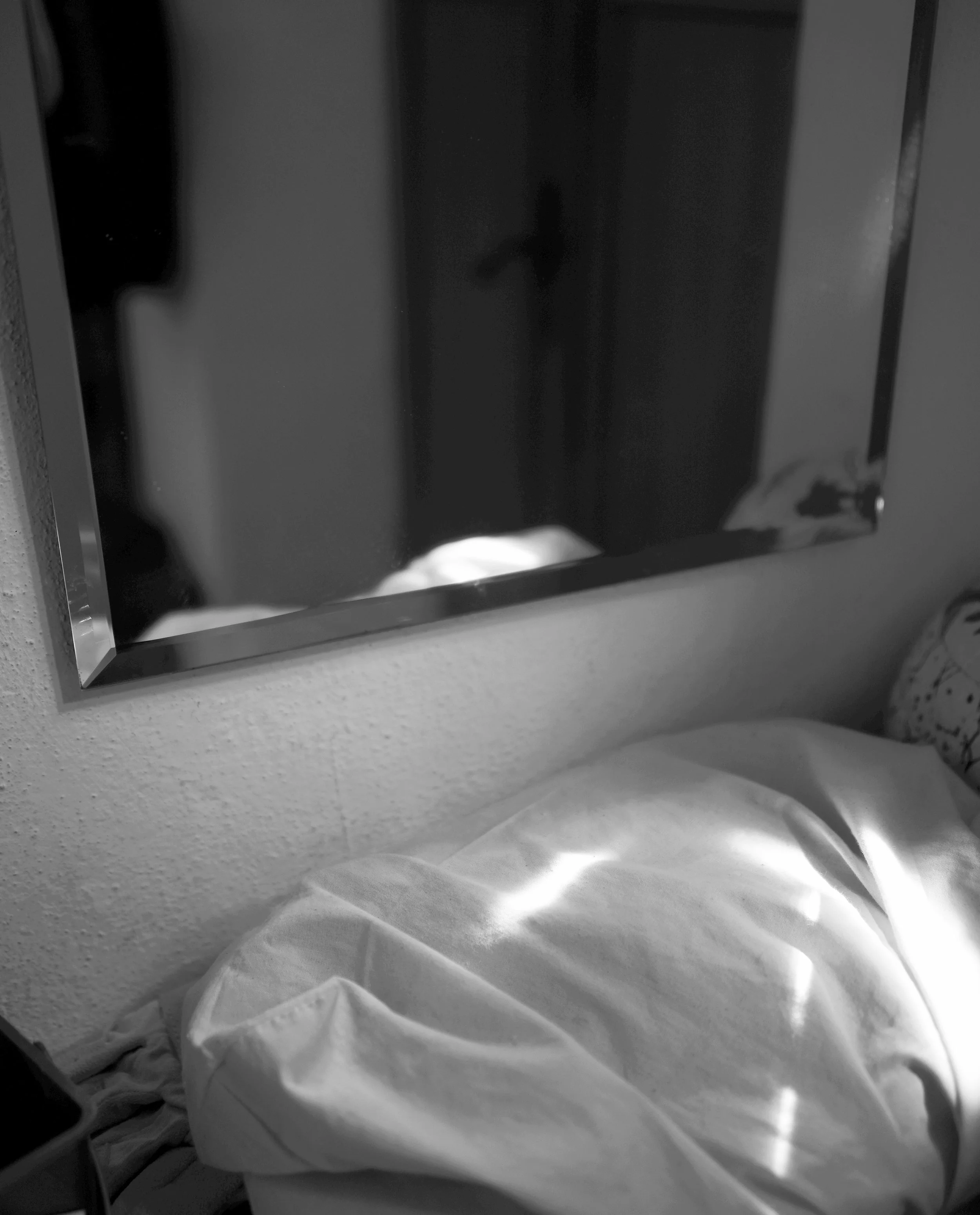 FP001620.jpg