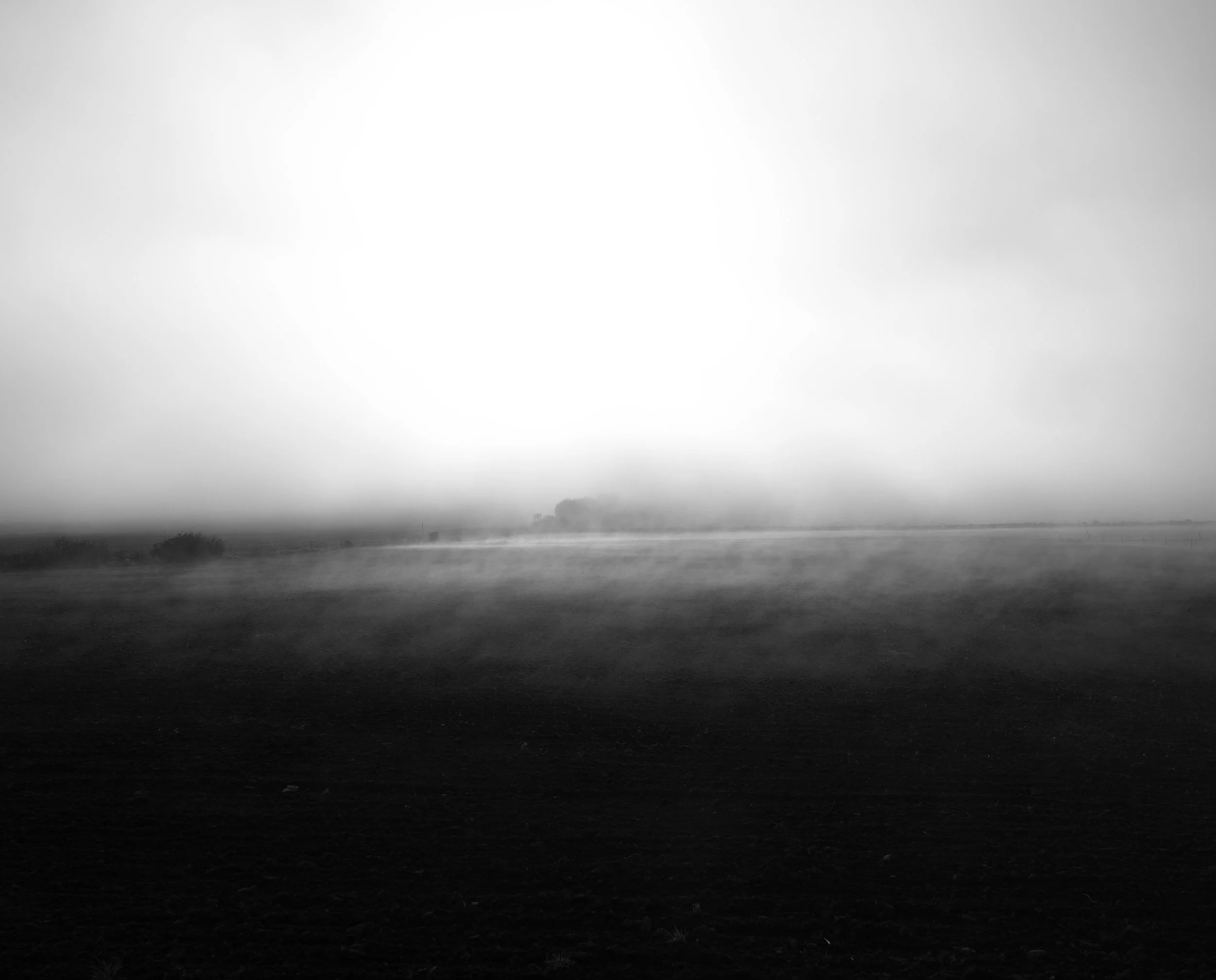 FP000700.jpg