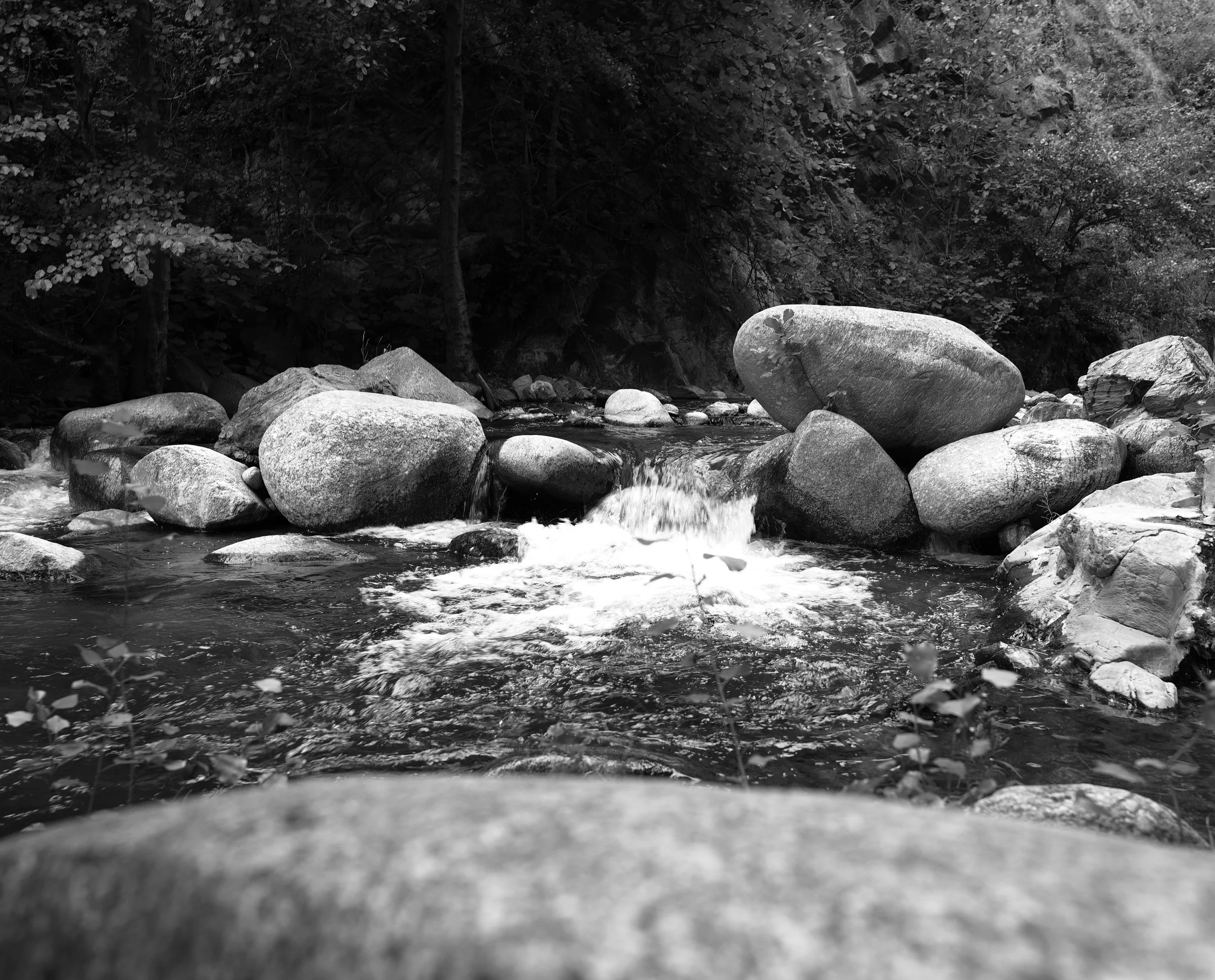 SDIM2338.JPG