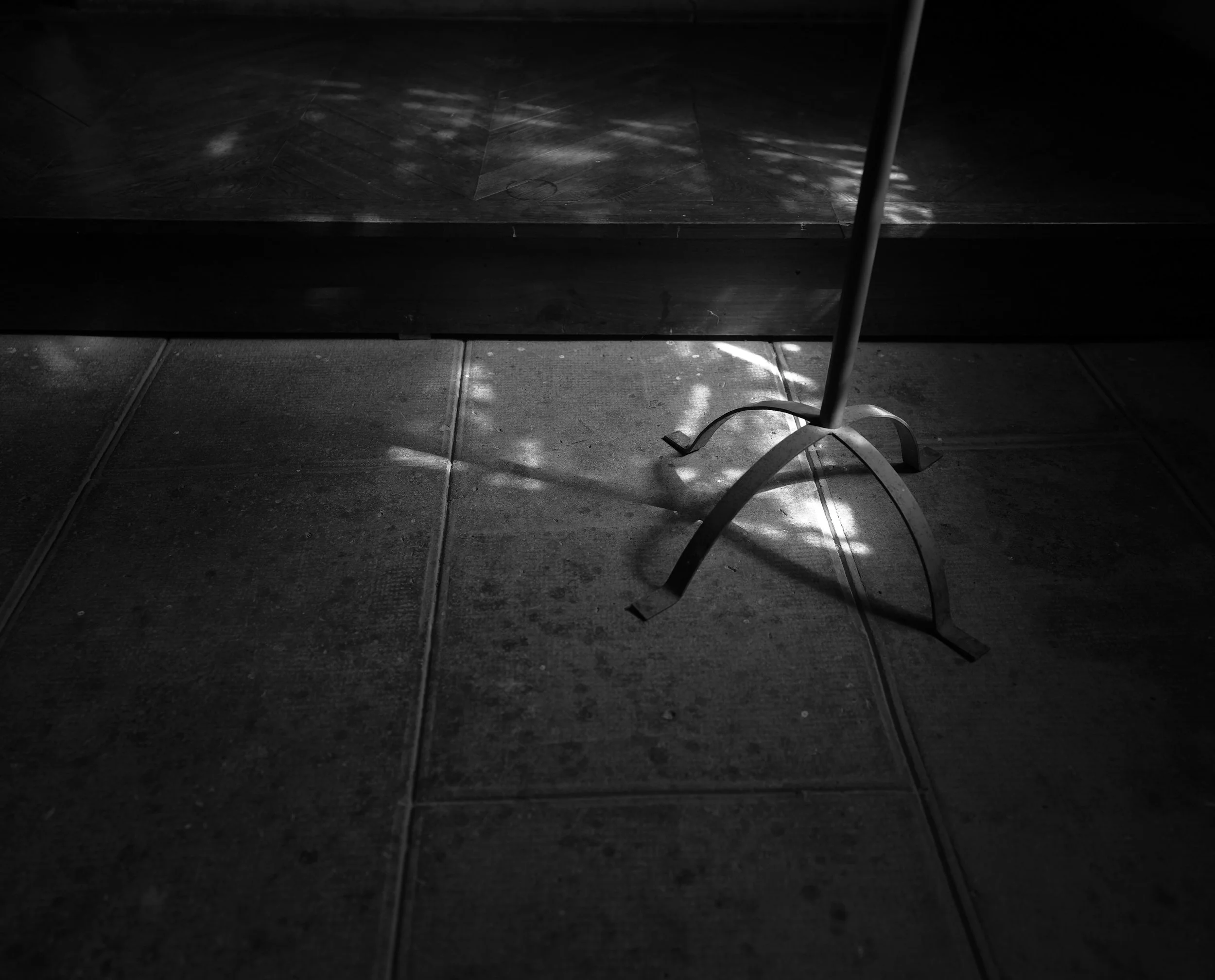 SDIM9738.jpg