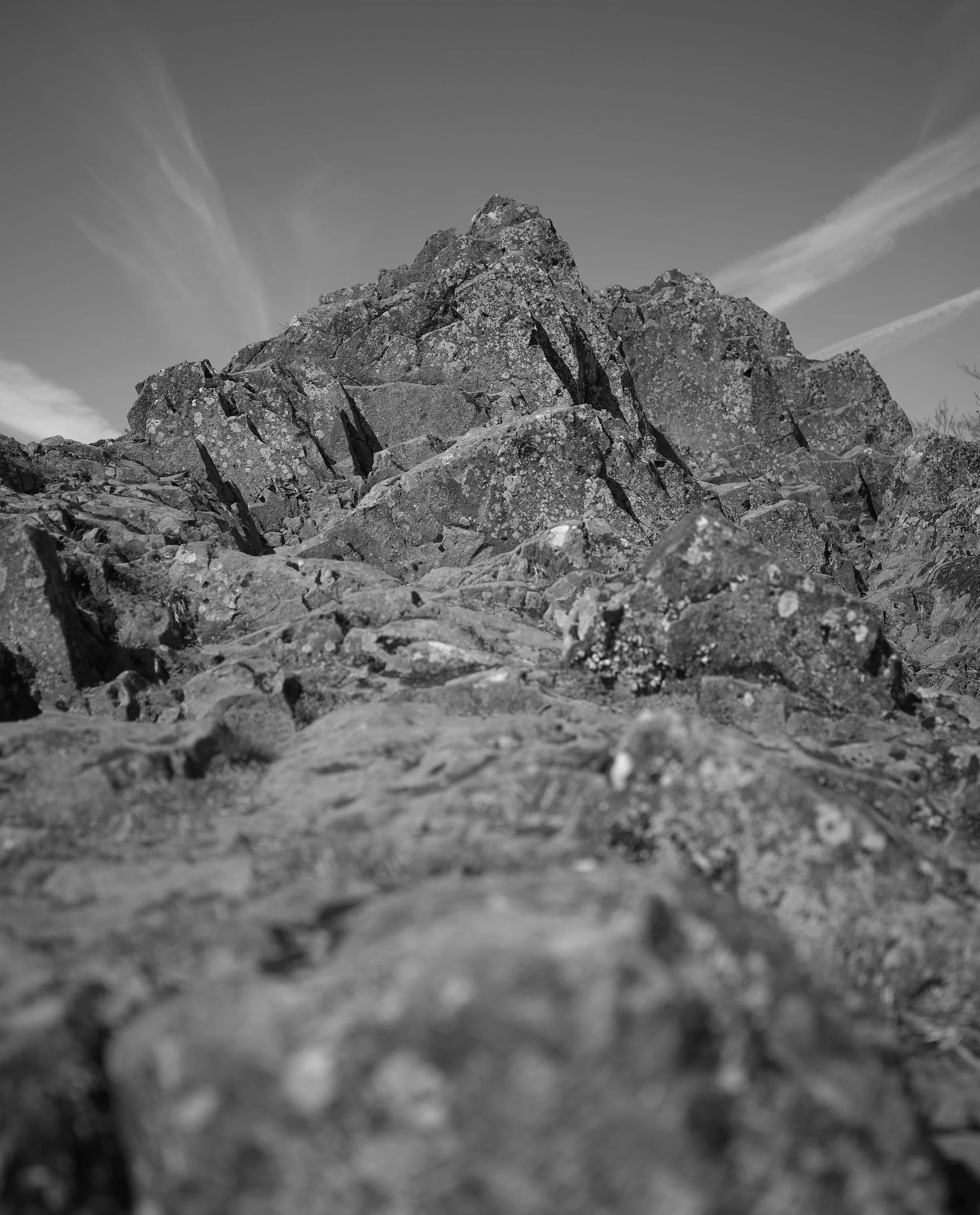 FP001505.jpg