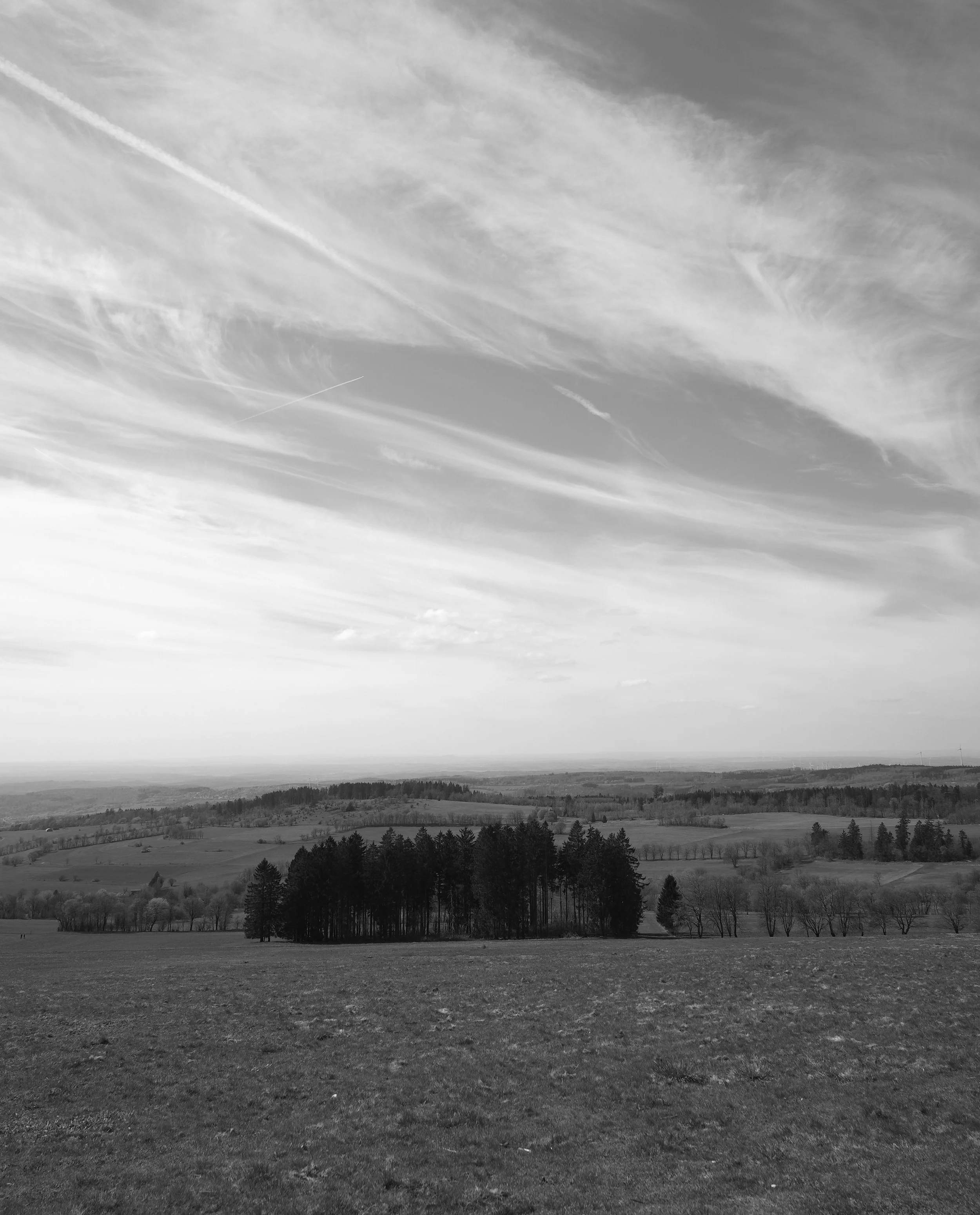 FP001540.jpg