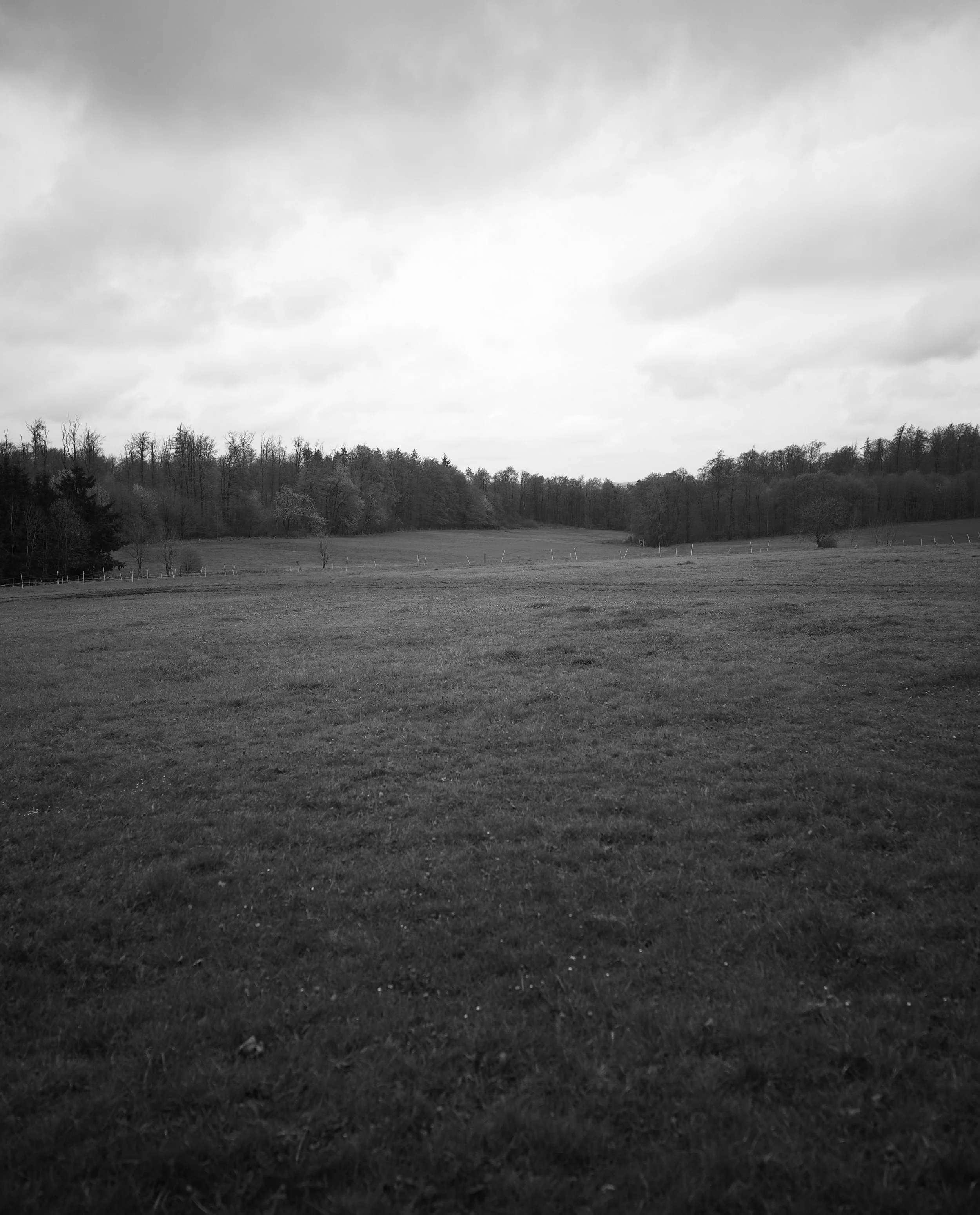 FP001041.JPG
