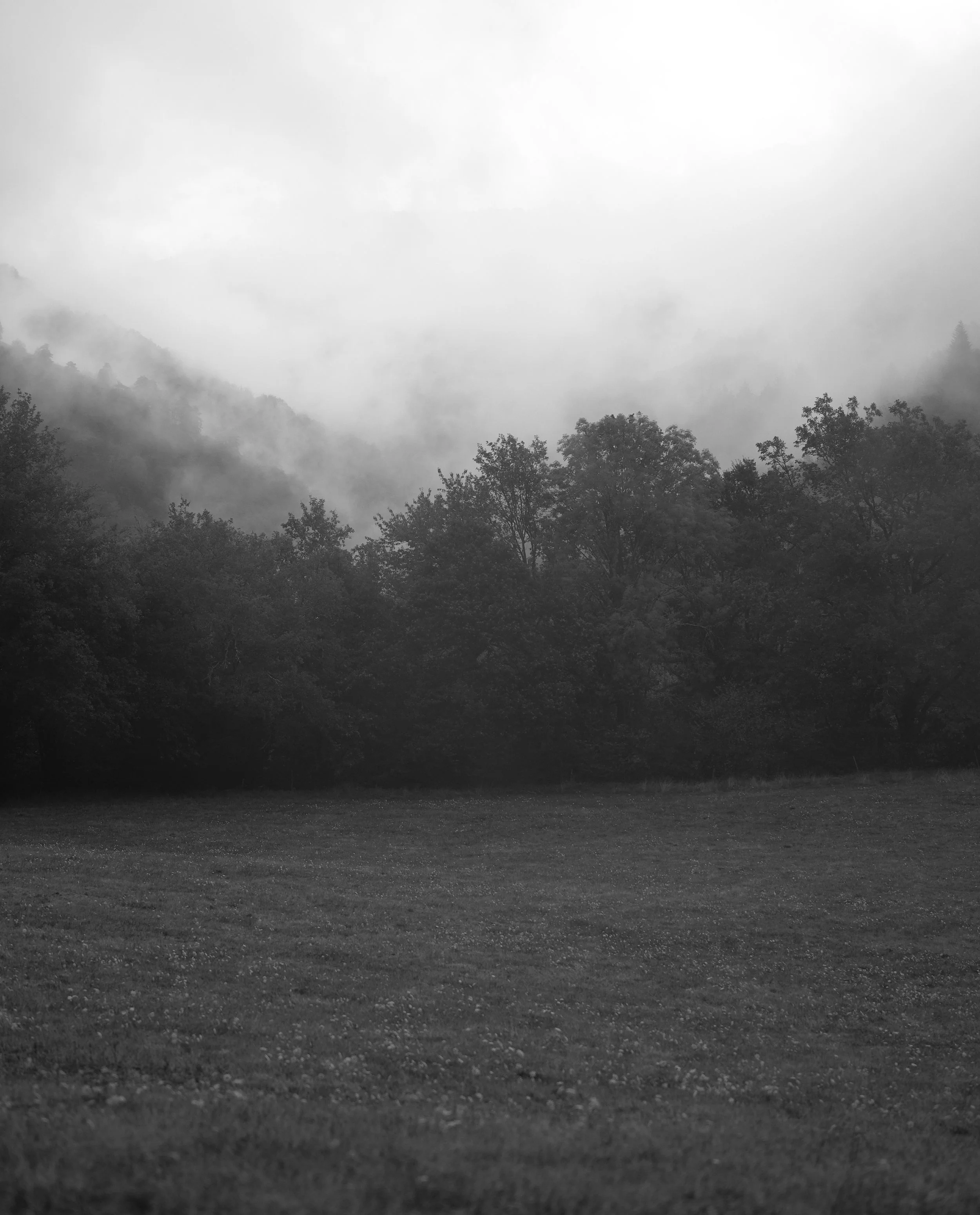 FP006969.jpg