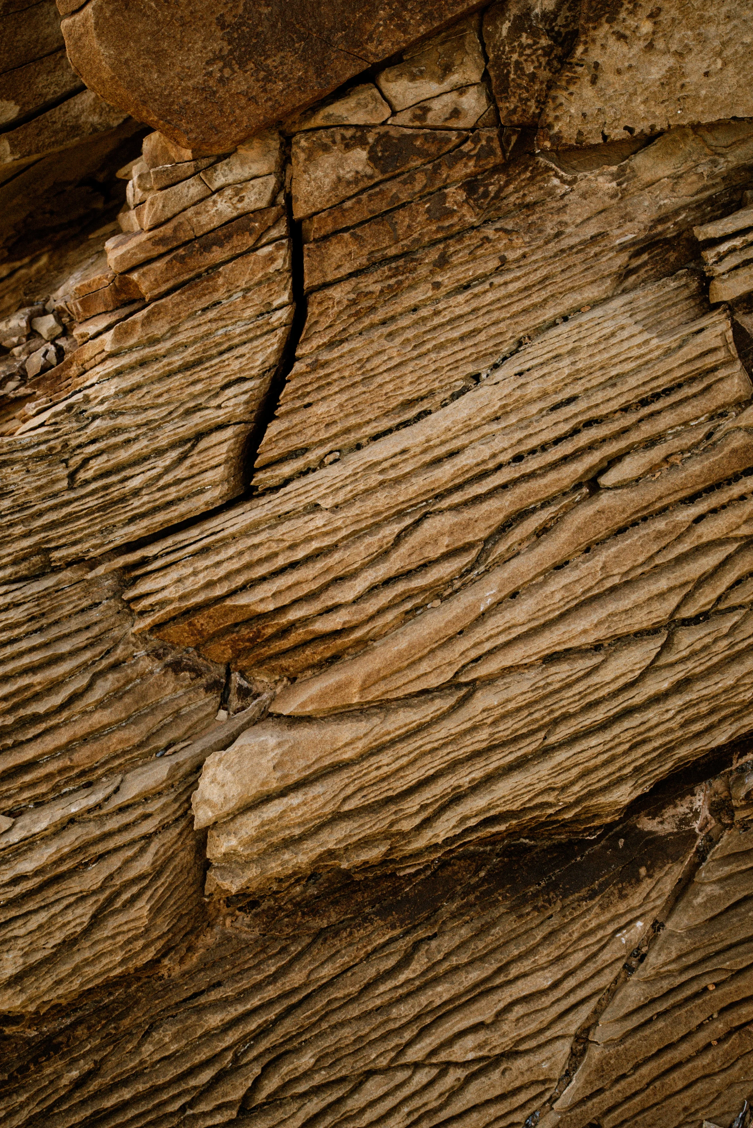 Buckhorn FinalsDSC05903.webp