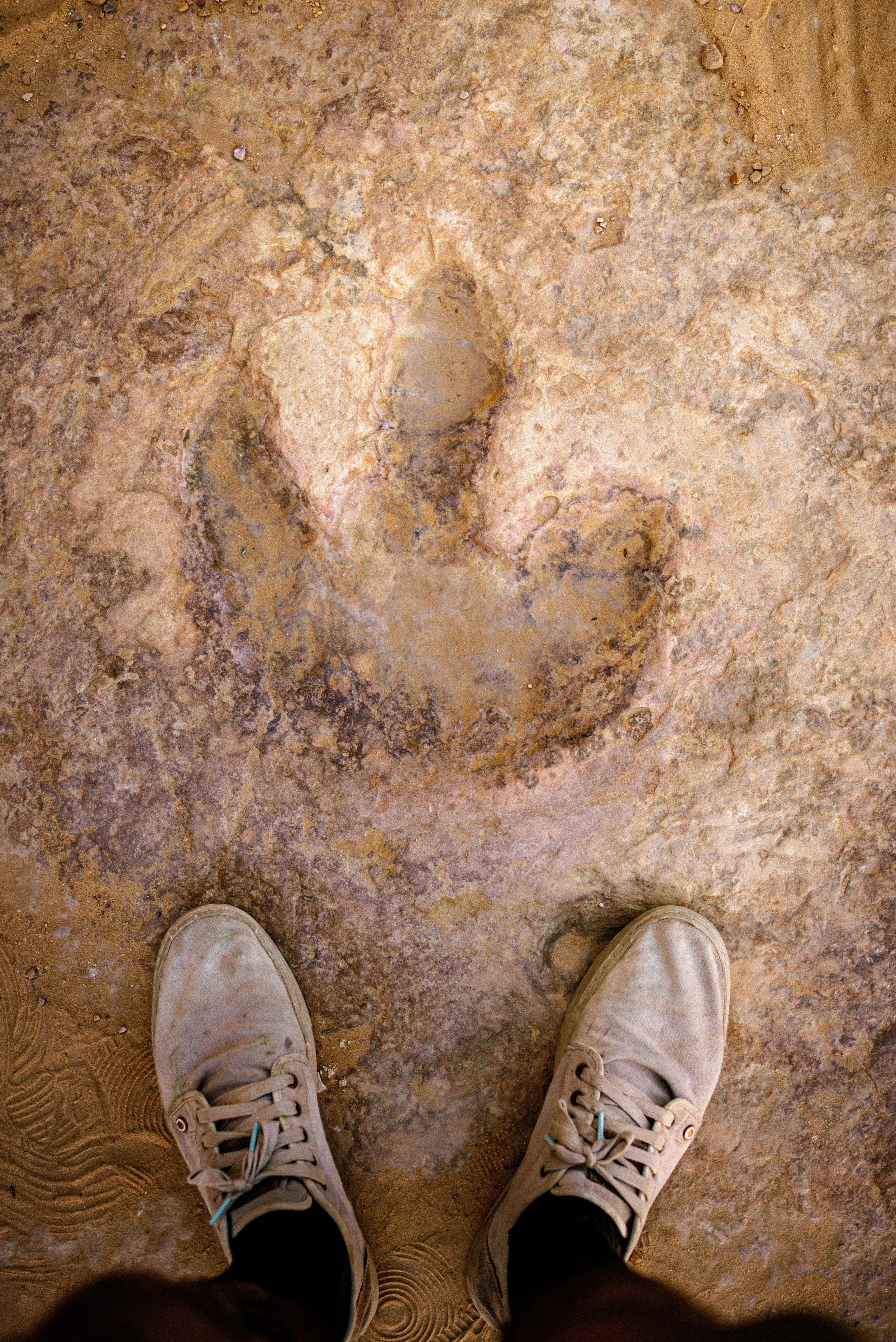 Buckhorn FinalsDSC05966.webp