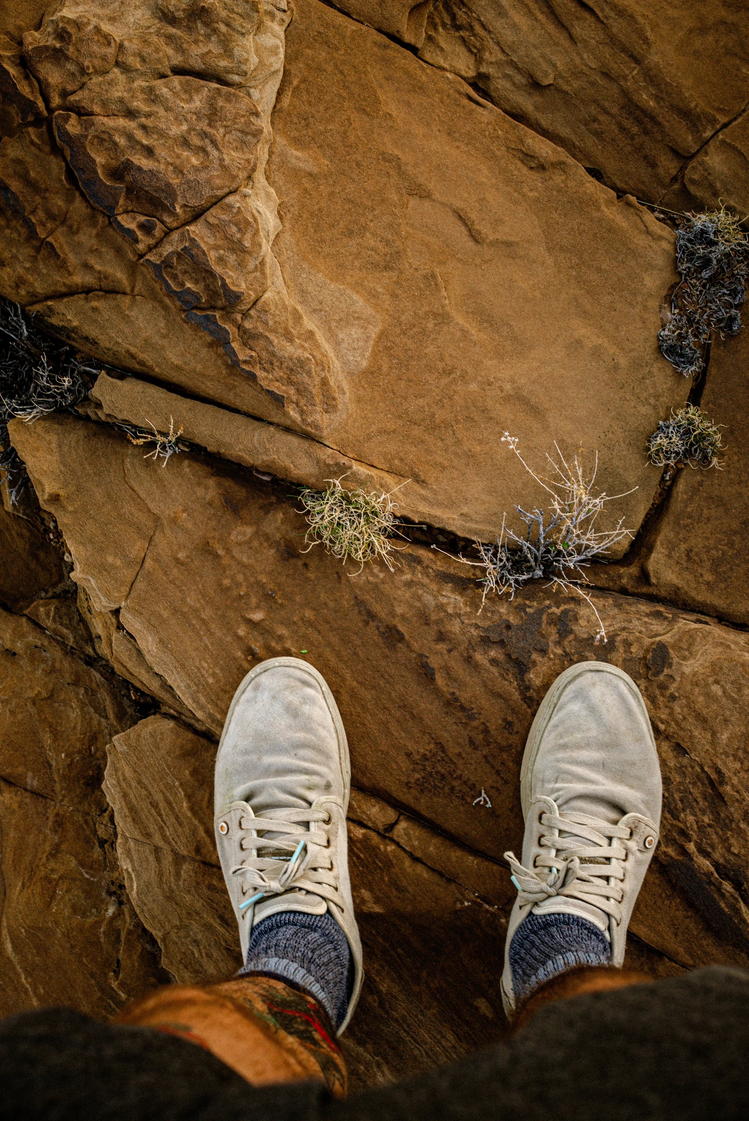 Buckhorn FinalsDSC05898.webp