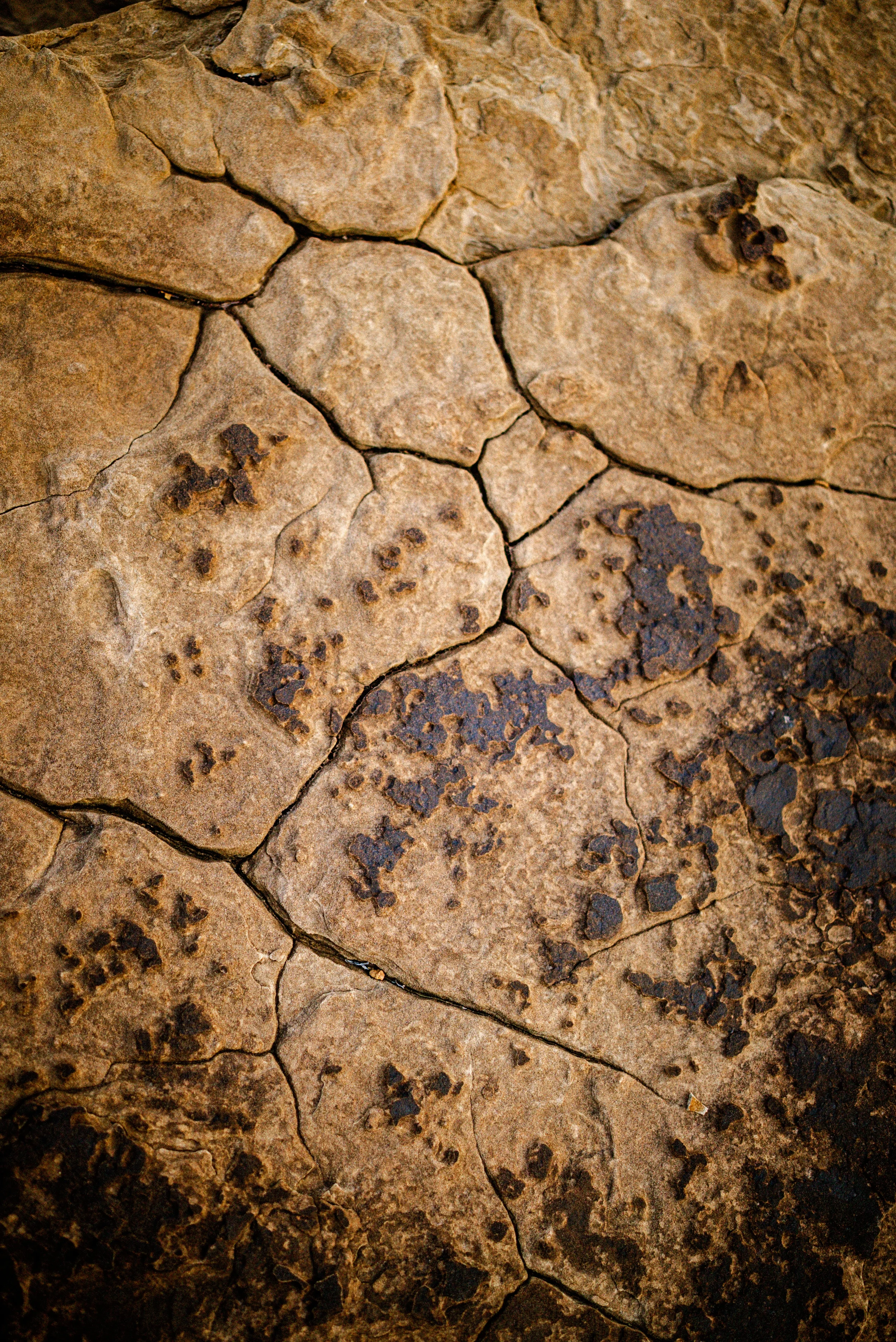 Buckhorn FinalsDSC05885.webp