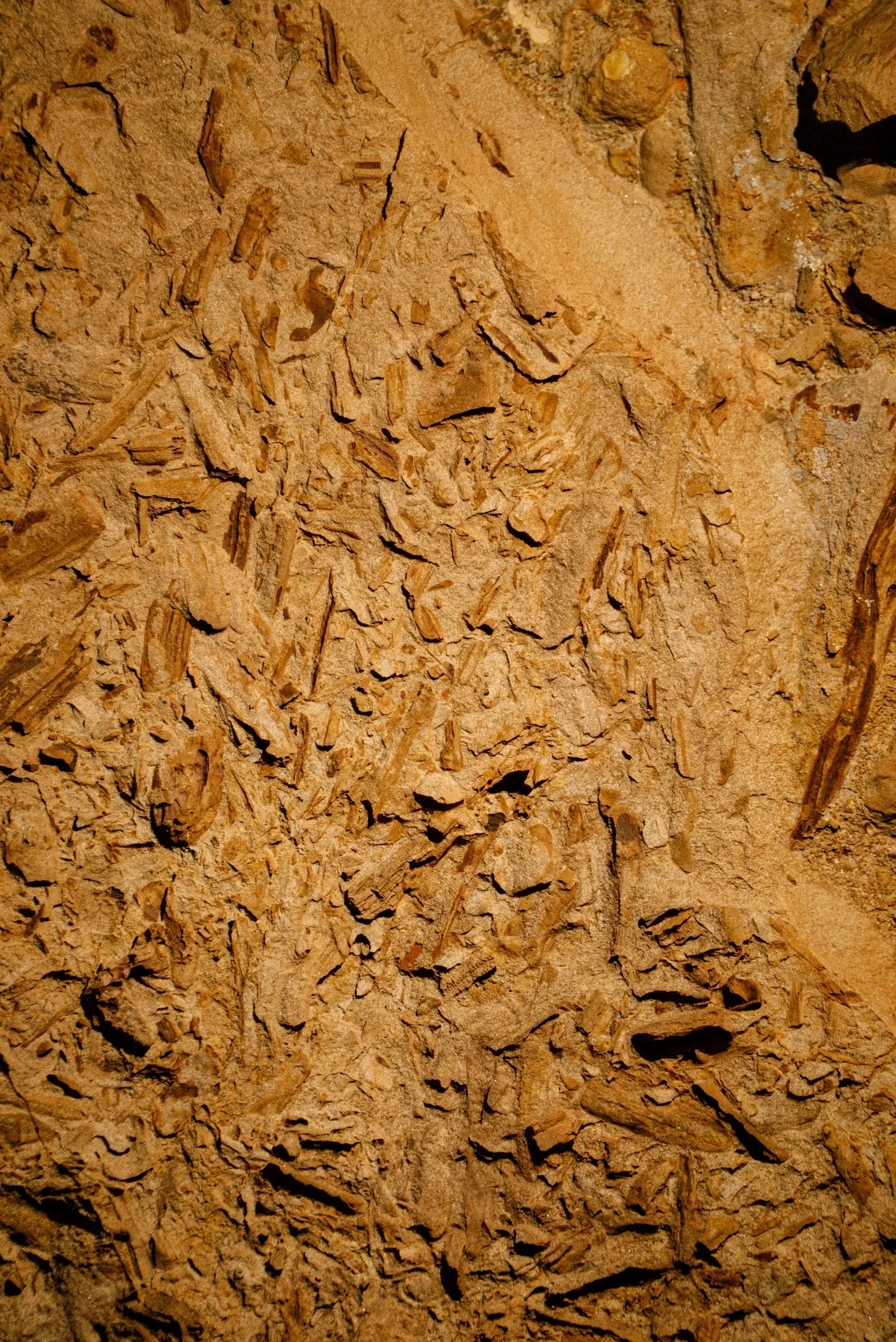 desert rock textures