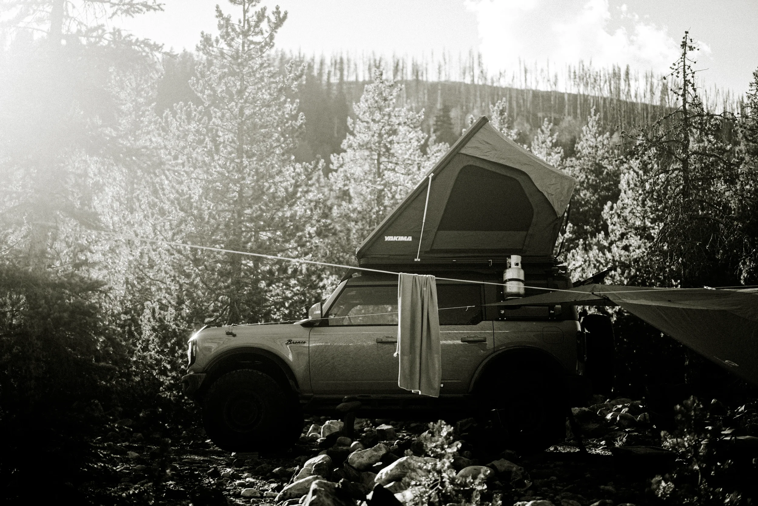image of a bronco at a campsite