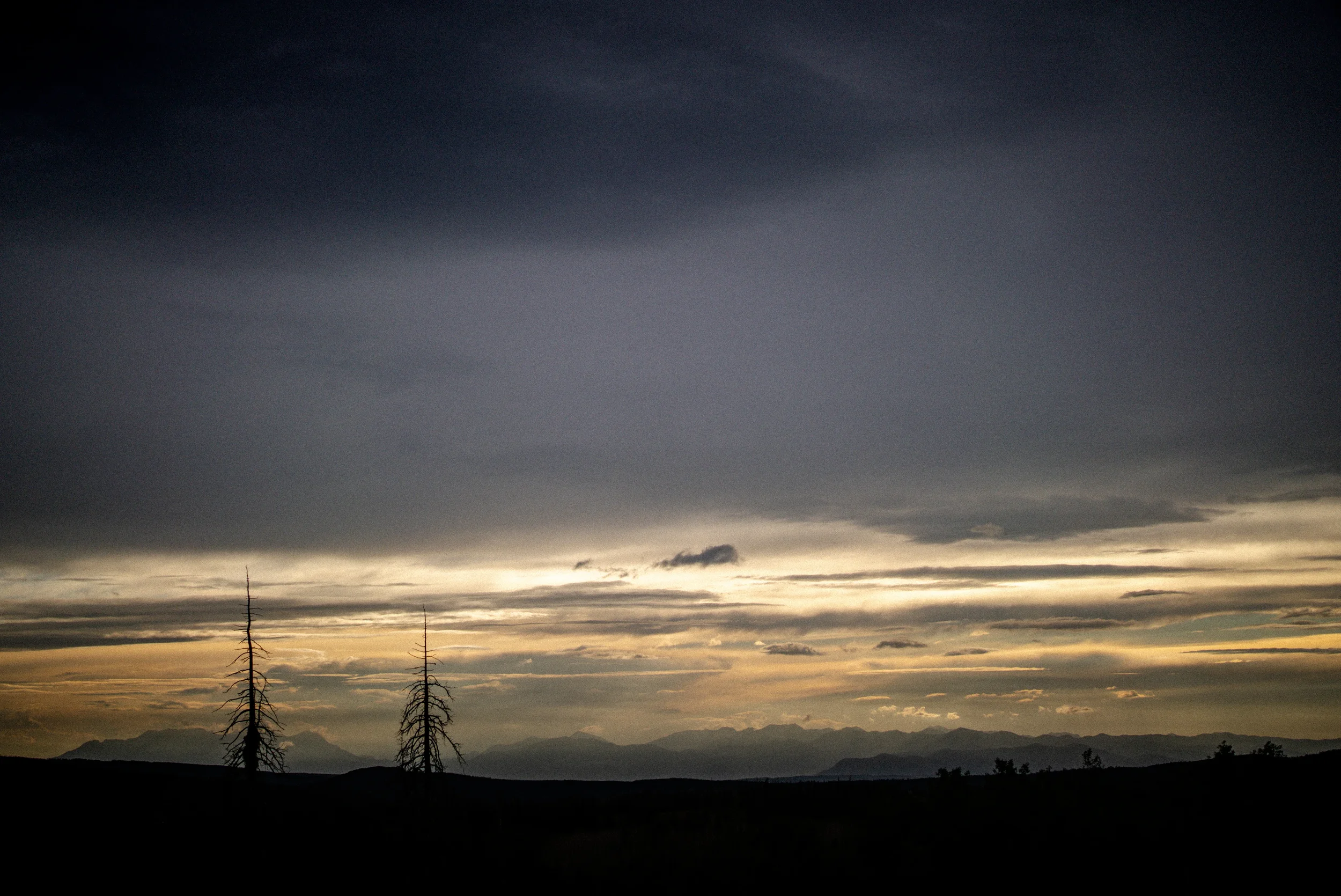 dead trees with ominous sky above