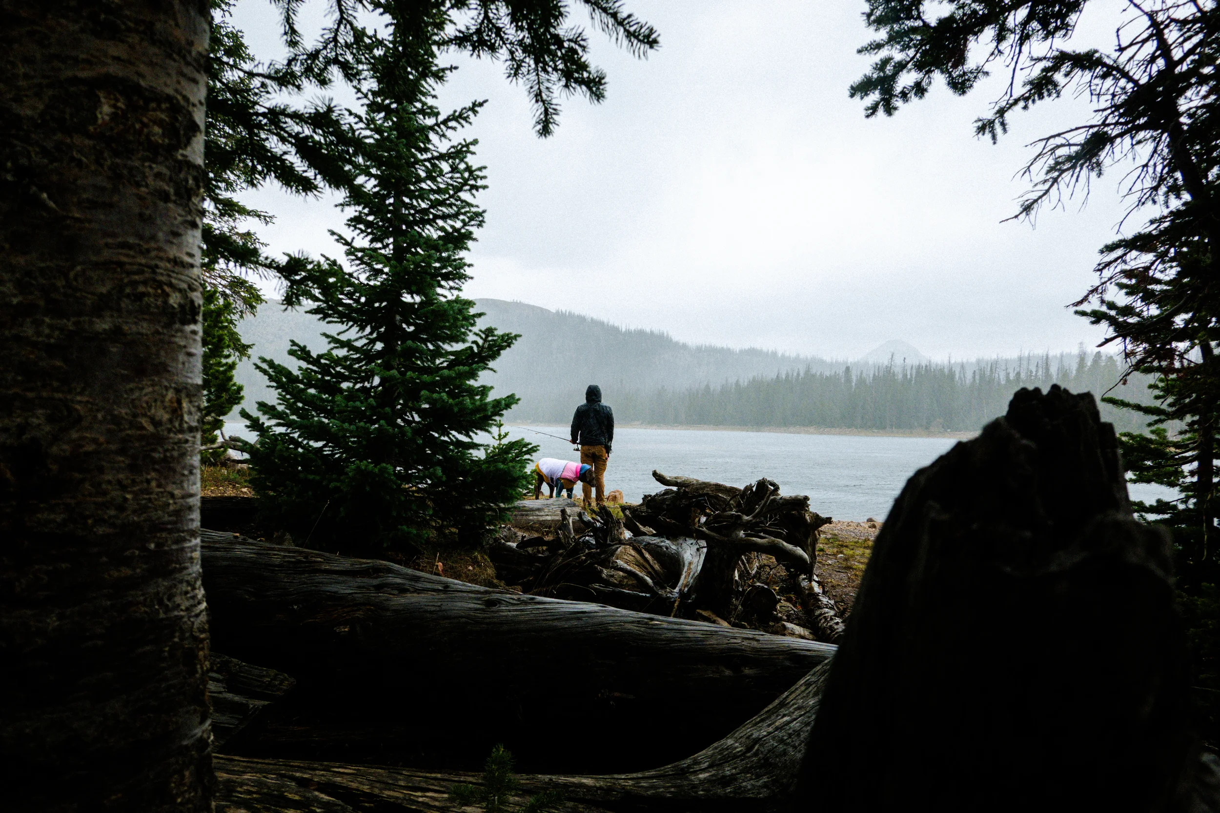 man and dog standing in the rain