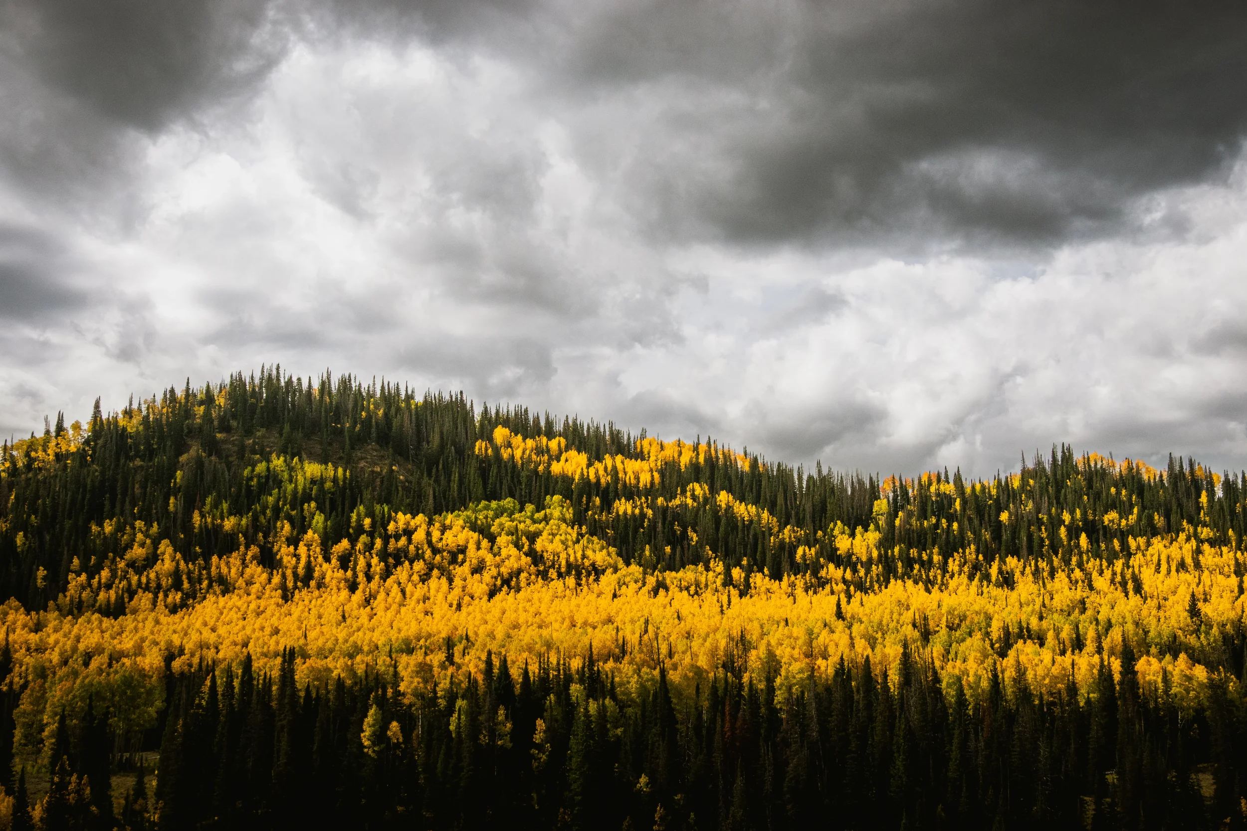 autumn colors below grey cloudy skies